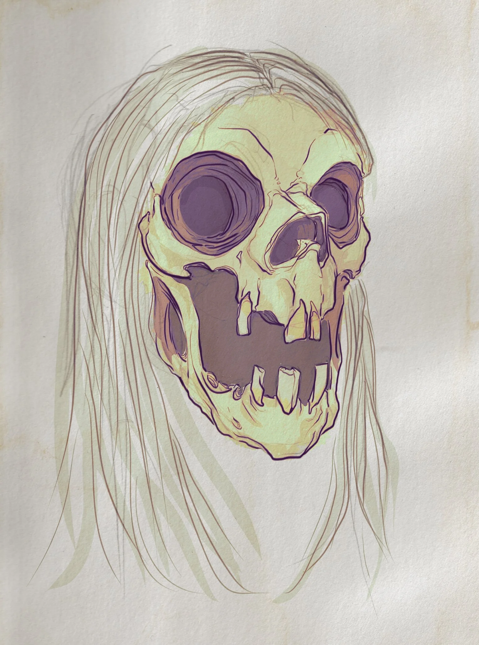 witch skull 2.jpg