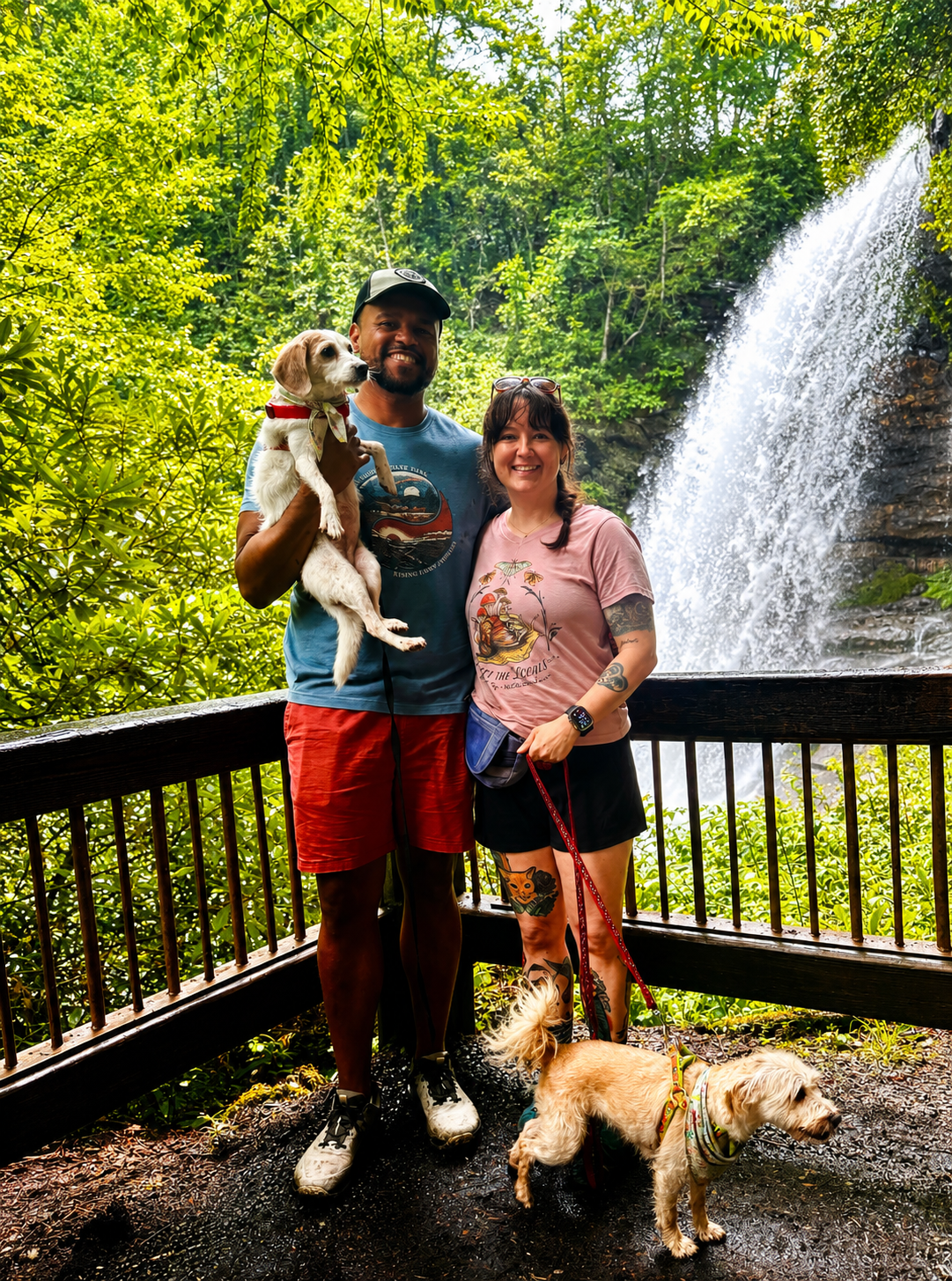 A smiling couple with two dogs in front of a waterfall surrounded by lush green trees.