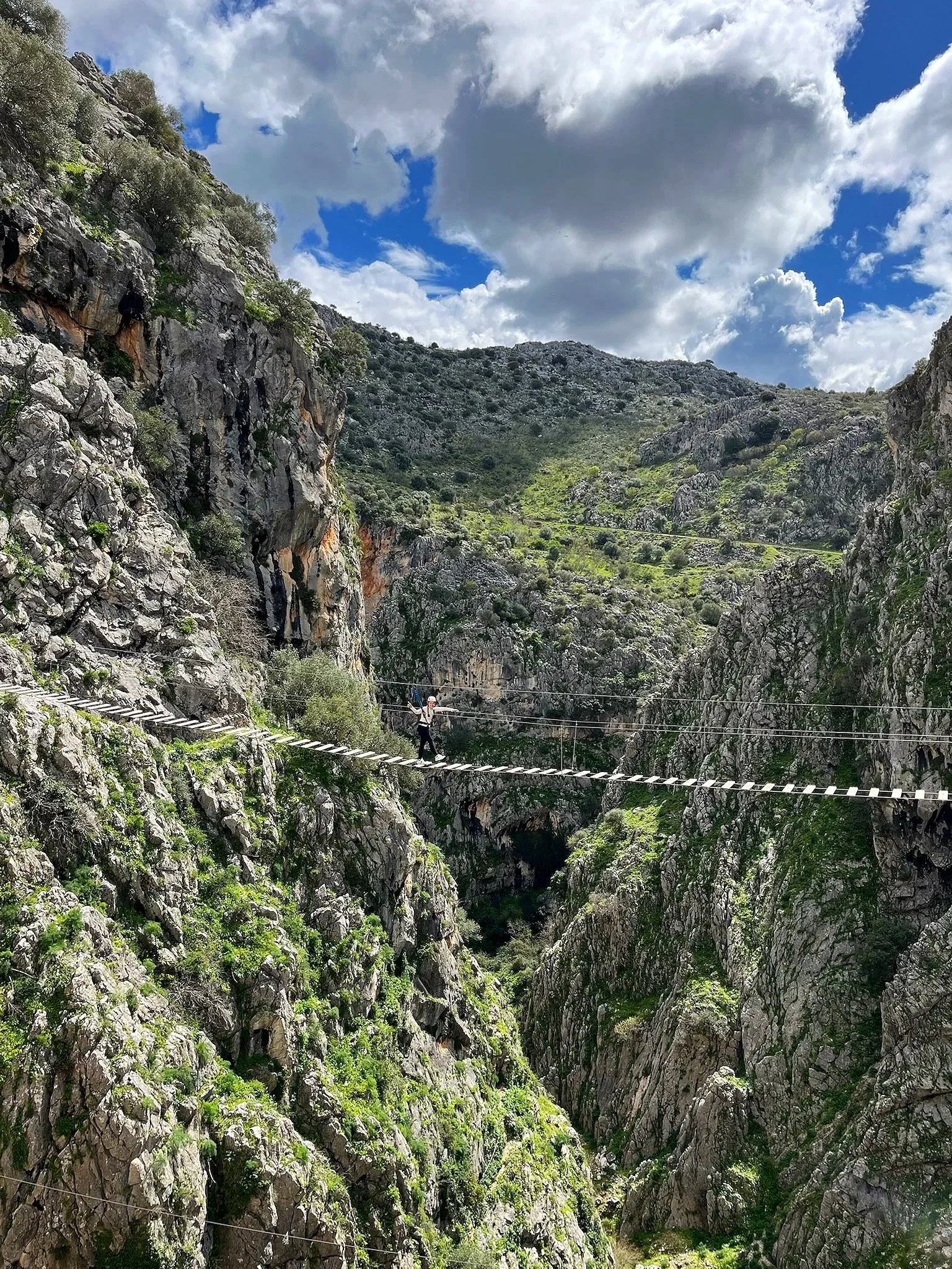 Un cañón con paredes rocosas cubiertas de vegetación y un puente colgante en el fondo, con un cielo parcialmente nublado.