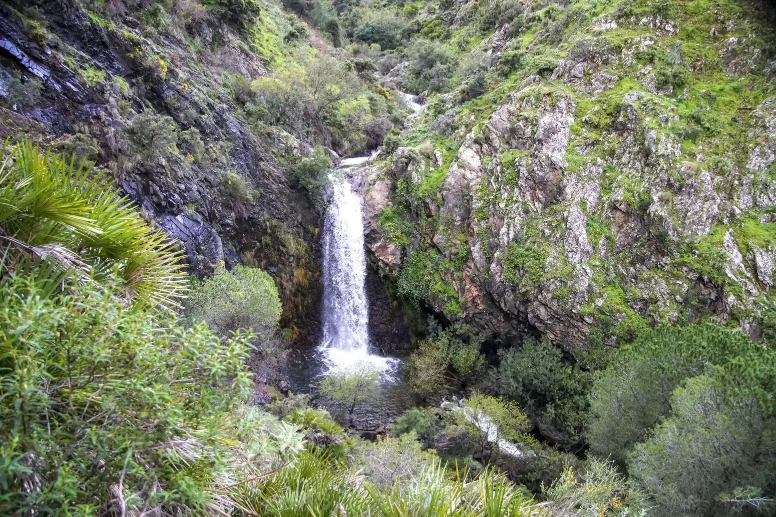 Cascada en un cañón rodeado de vegetación verde y rocas.