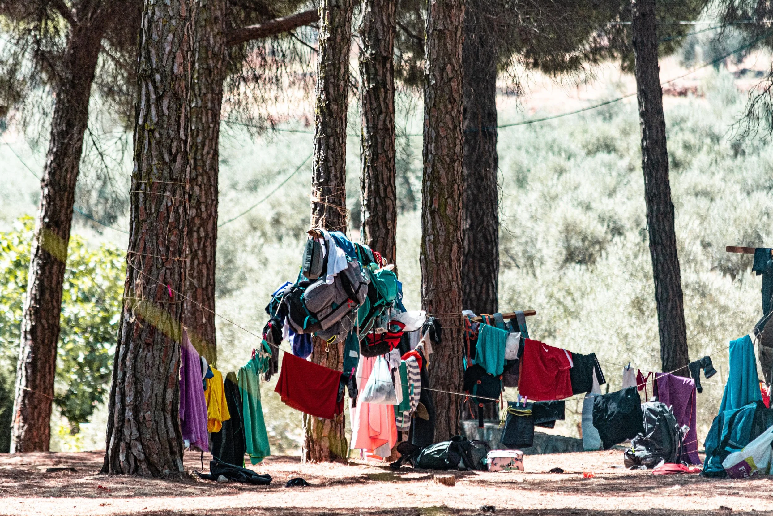 Ropa y mochilas colgadas en una cuerda en un bosque de pinos
