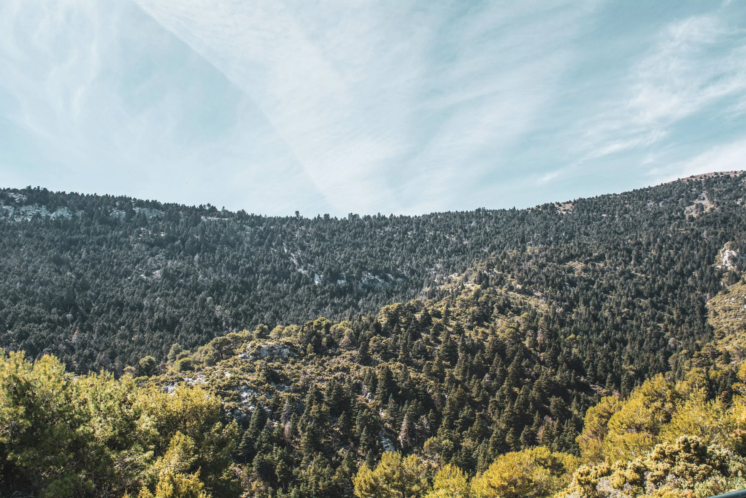 Imagen de una cordillera con árboles de pino y un cielo parcialmente nublado.