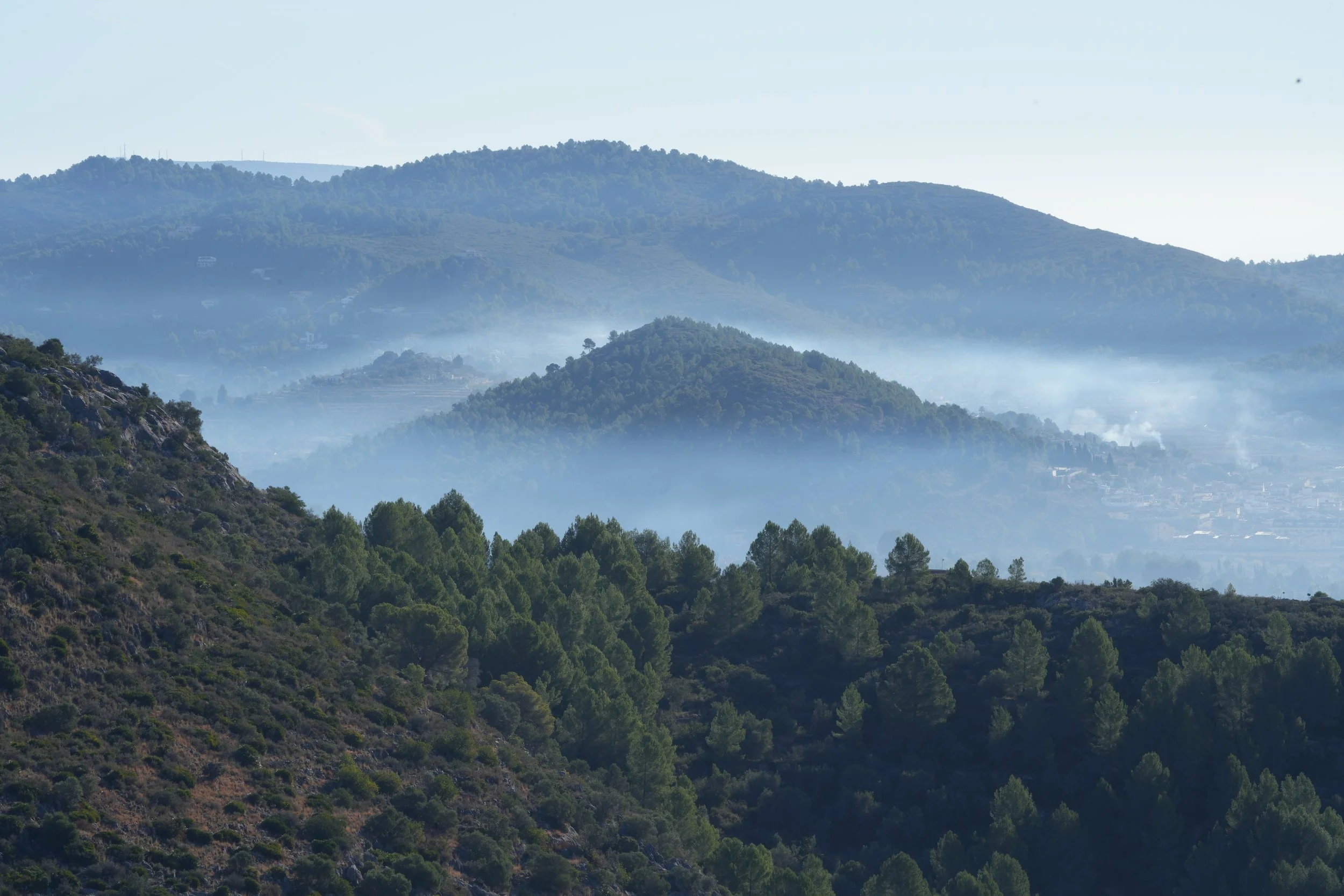 Montañas verdes con neblina y árboles en primer plano.