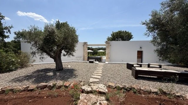 Cour intérieure minimaliste avec deux arbres, un chemin de pierres, des bancs en bois, murs blancs, sous un ciel bleu.