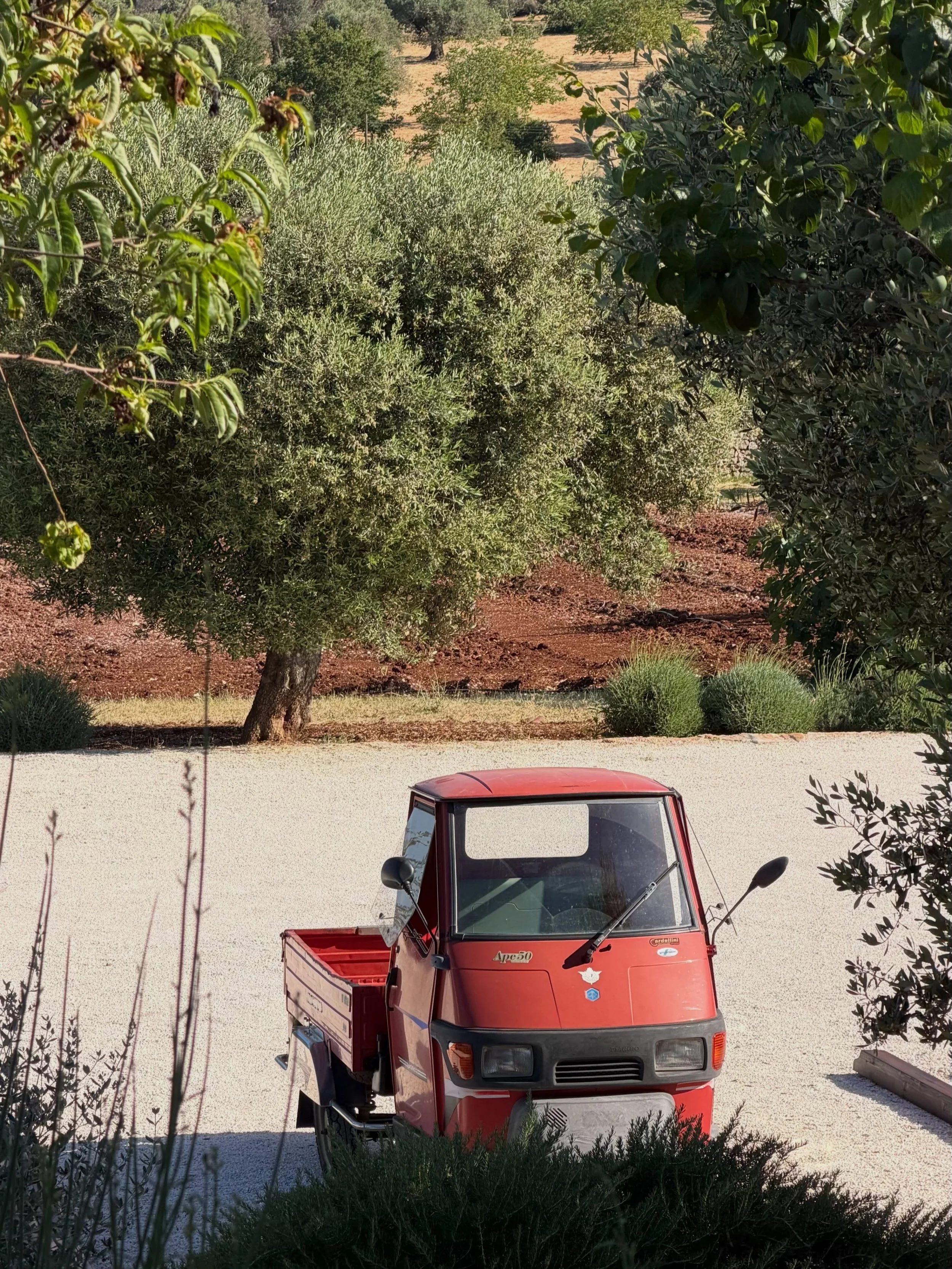 Les Pouilles dans leur version la plus authentique...
_______
Puglia at its most authentic...

#lealibianchepuglia #beautifuldestinations #summerinitaly #puglia #luxuryvilla