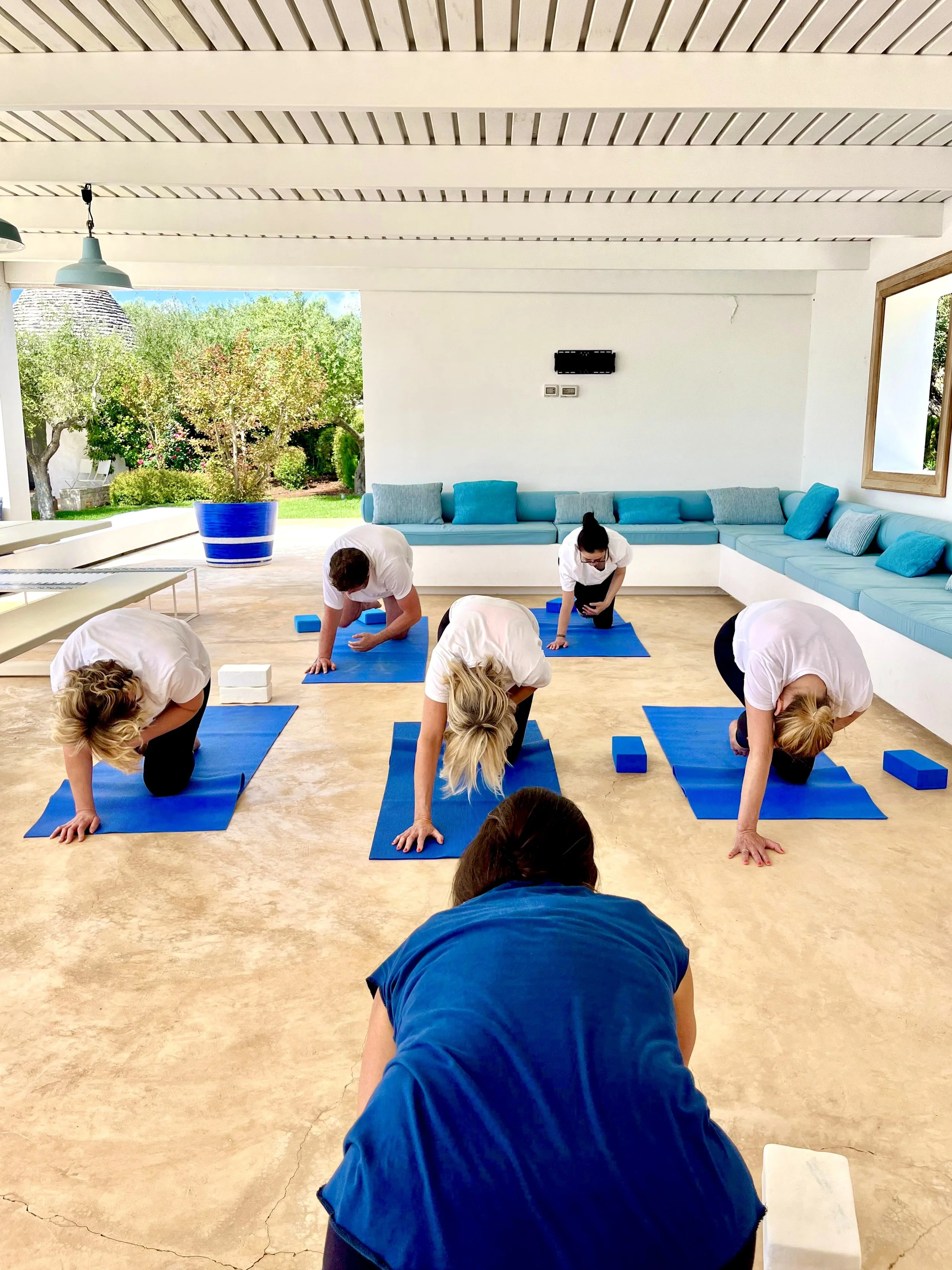 Groupe de personnes participant à une séance de yoga ou de méditation, assises en position de yoga sur des tapis bleus, dans une salle lumineuse avec vue sur un jardin.