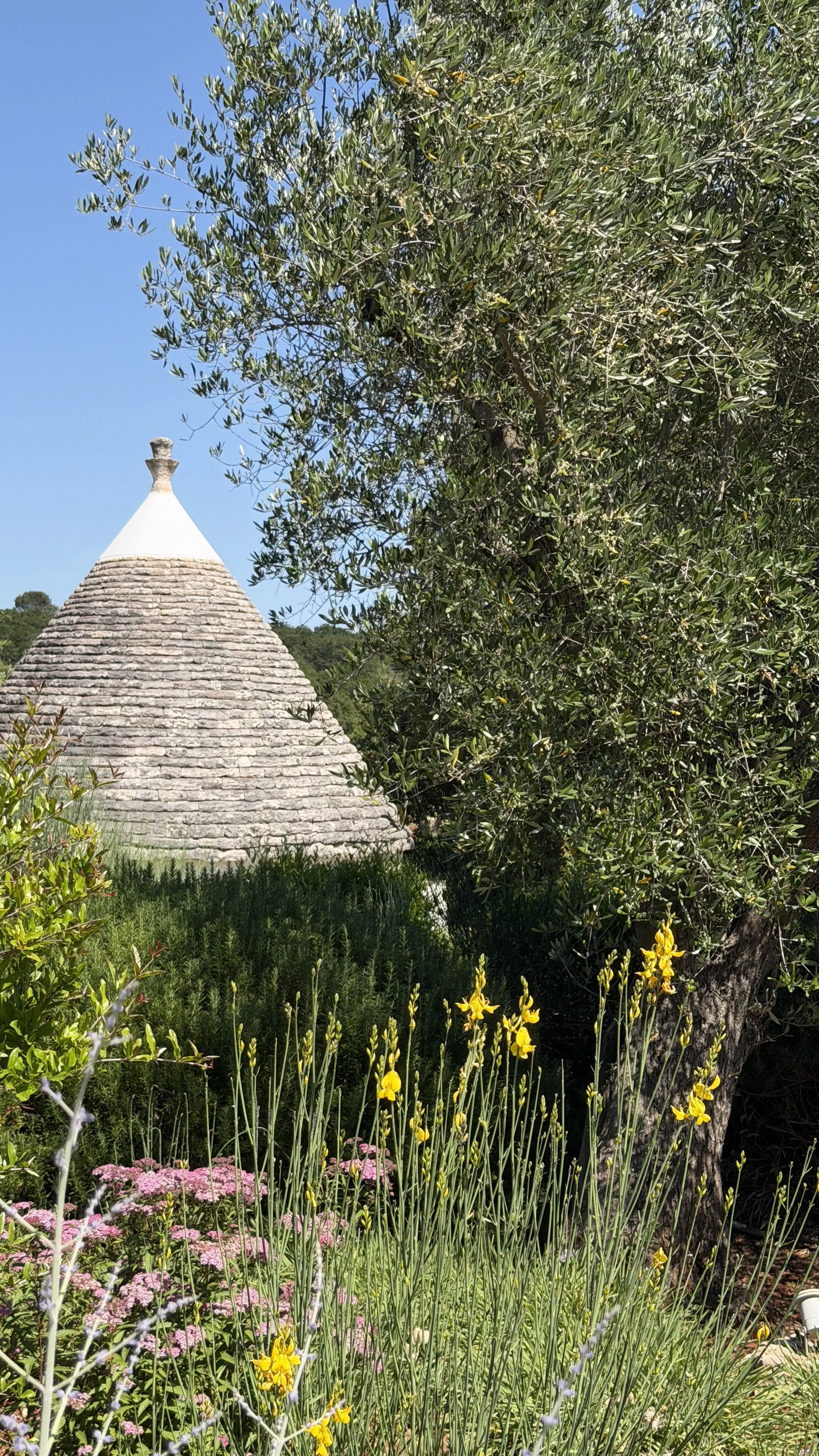 Une maison avec un toit conique en pierre, entourée de végétation et de fleurs jaunes, roses et violettes, sous un ciel bleu.