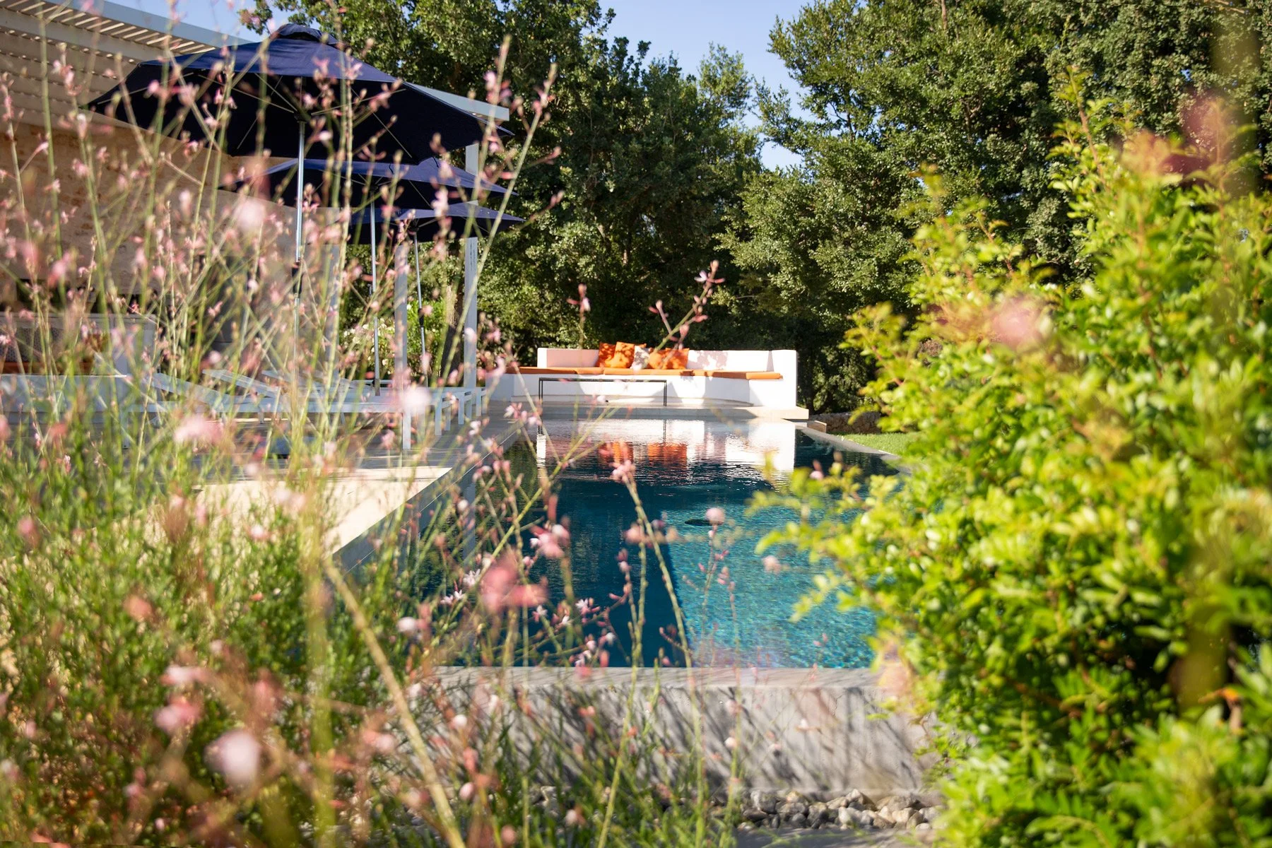 Vue d'une piscine entourée de plantes et de fleurs, avec un coin salon blanc et des coussins orange en arrière-plan, sous un ciel bleu ensoleillé.
