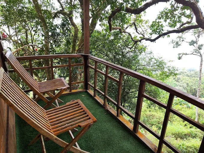 Naturezone-5 - Copy.jpg