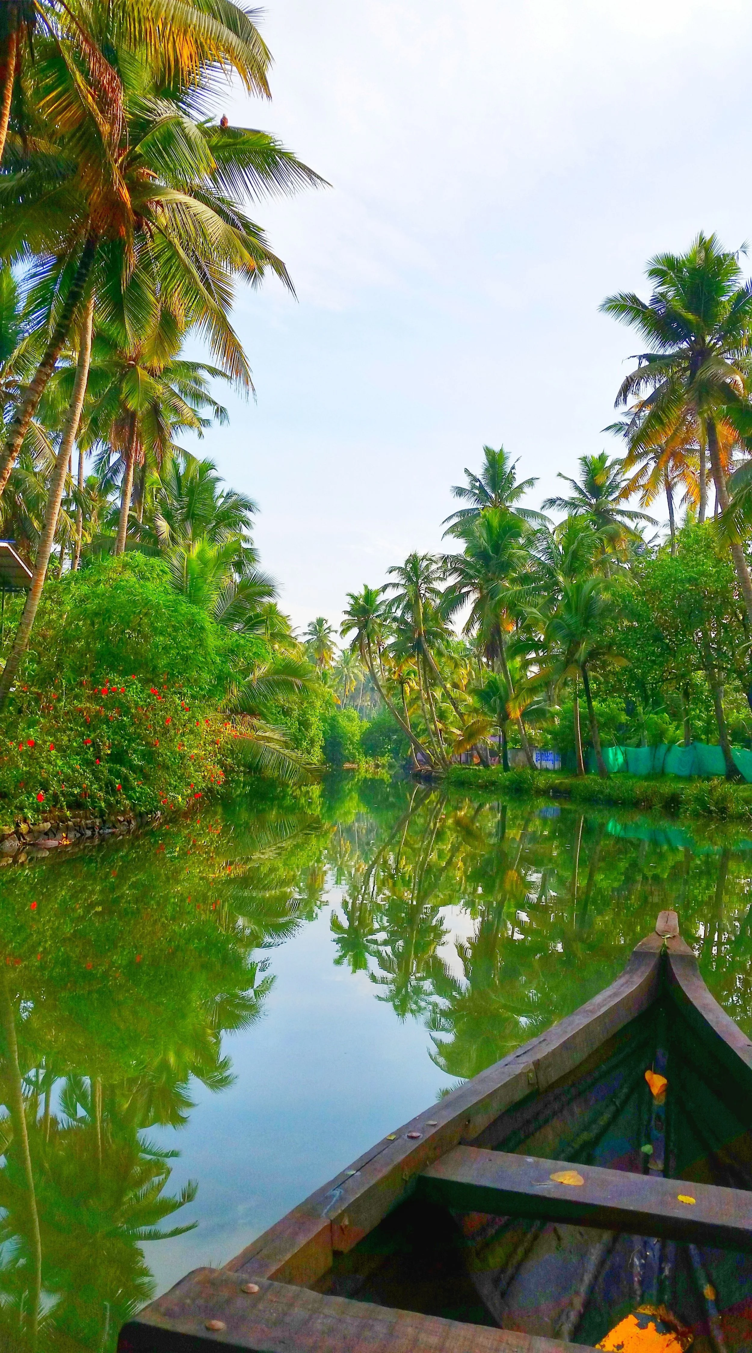 Kerala India backwaters picture.jpeg