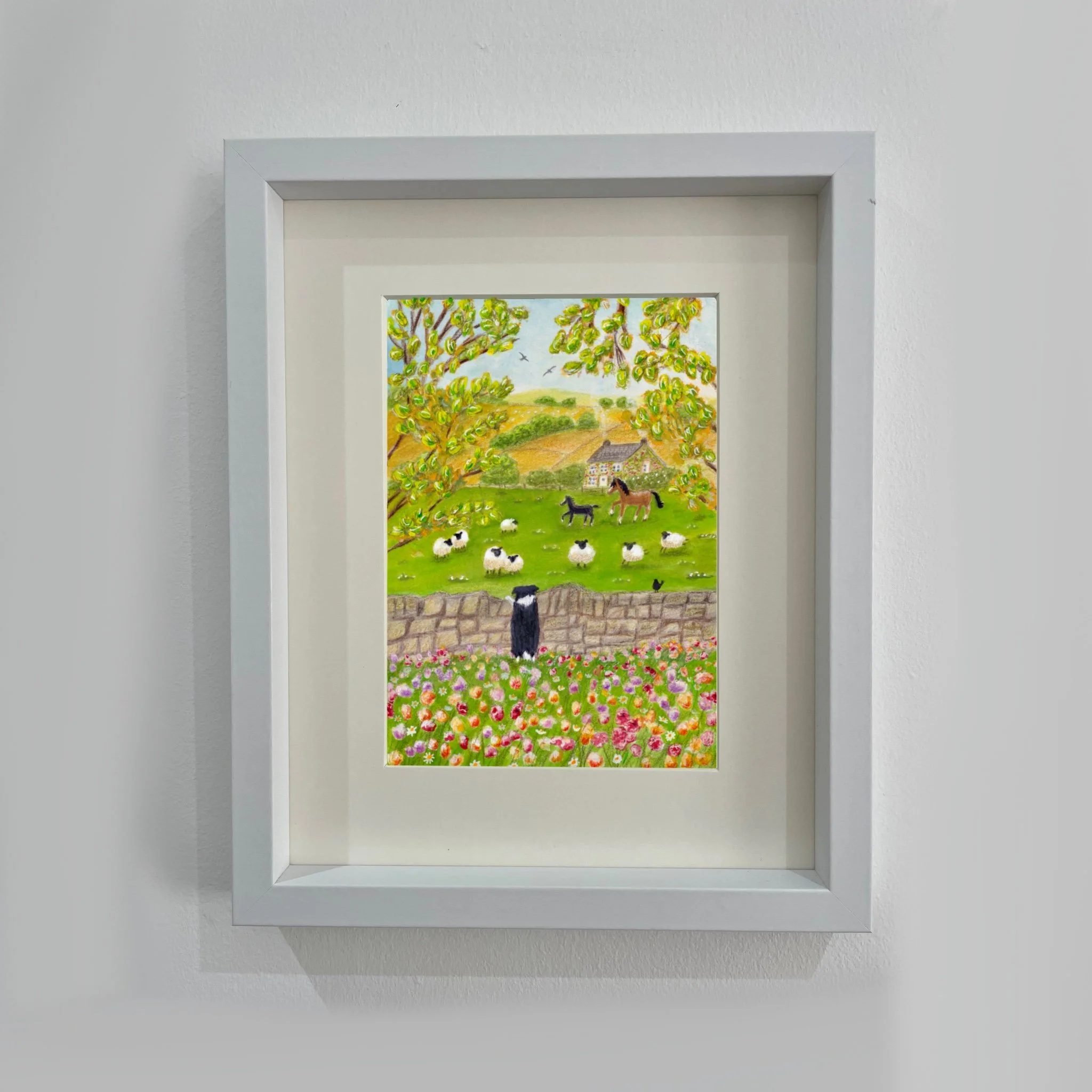 Cleo Blackbird frame.JPG