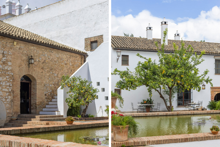 fain-viejo-arcos-wedding (1).png