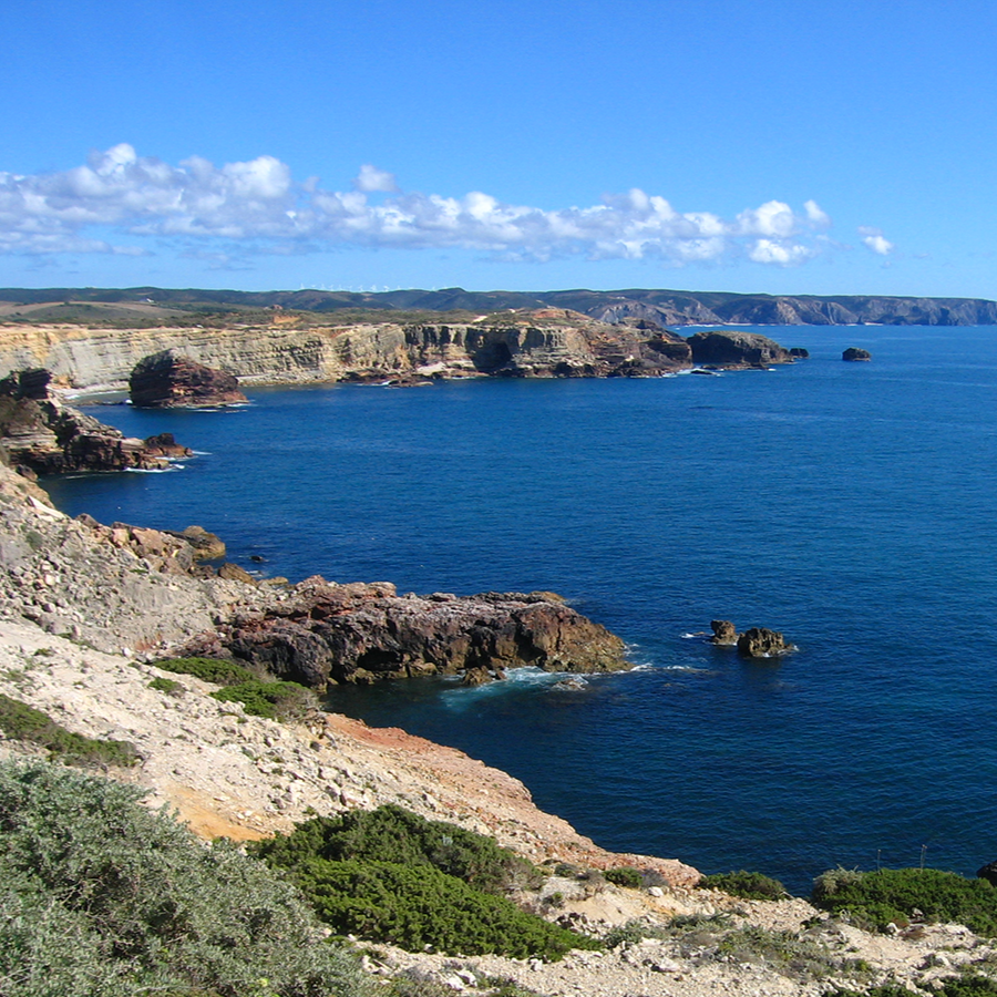 PONTAL | 123ha