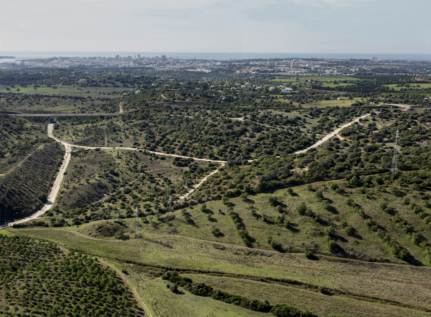 Portimão Reforestation l Algarve