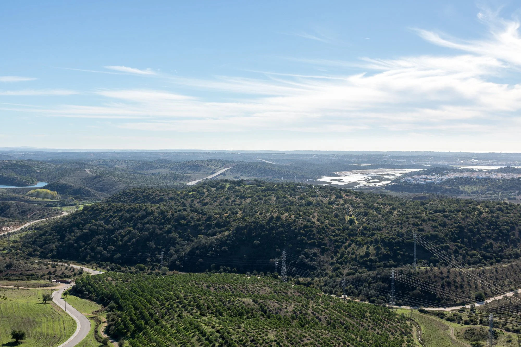 Portimão Reforestation l Algarve