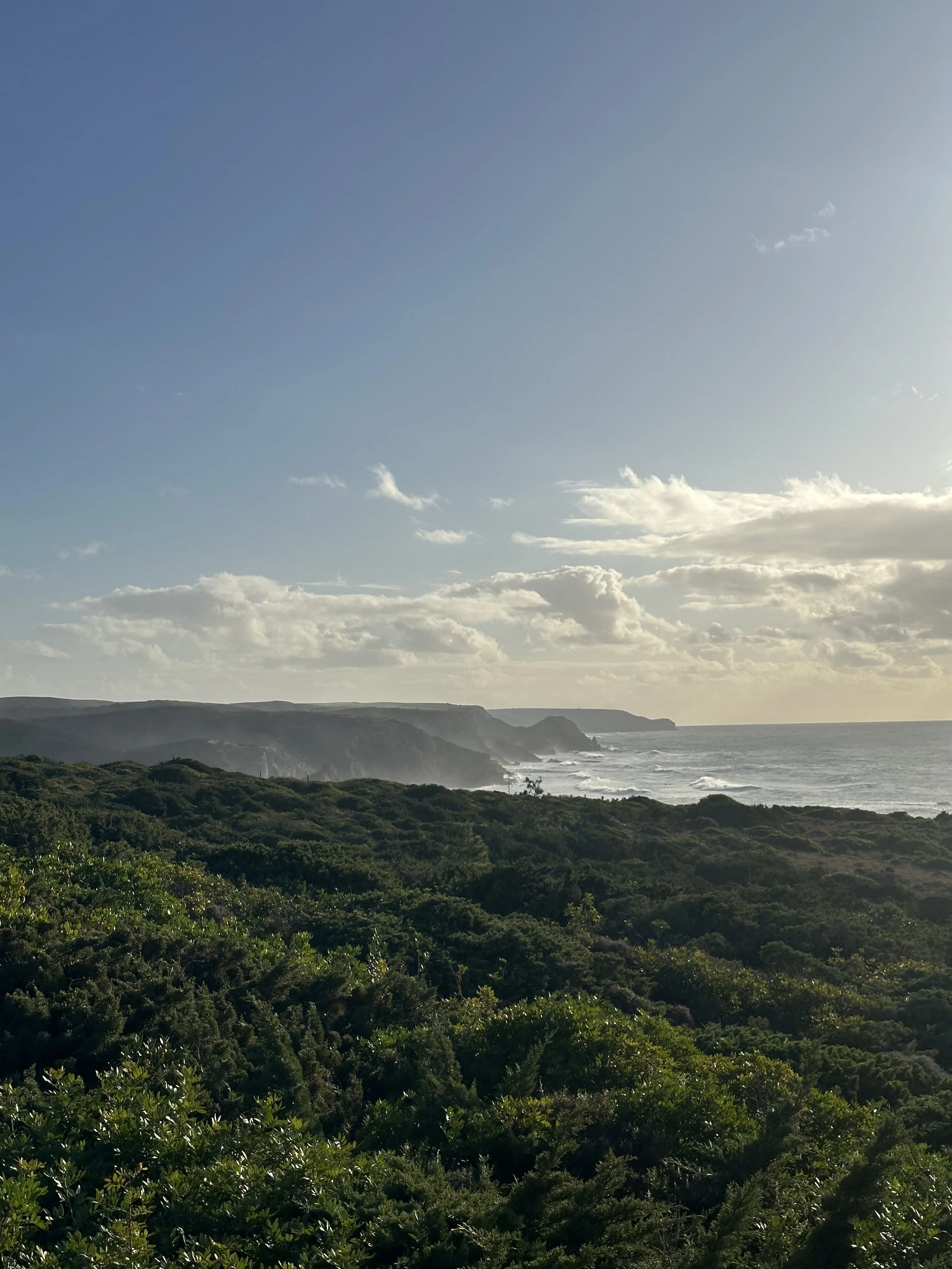 Pontal Land Regeneration l Algarve
