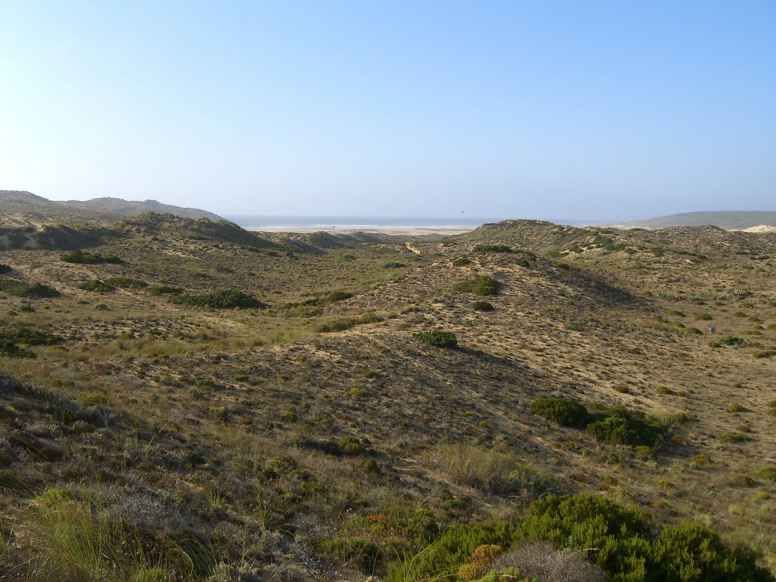 Pontal Land Regeneration l Algarve
