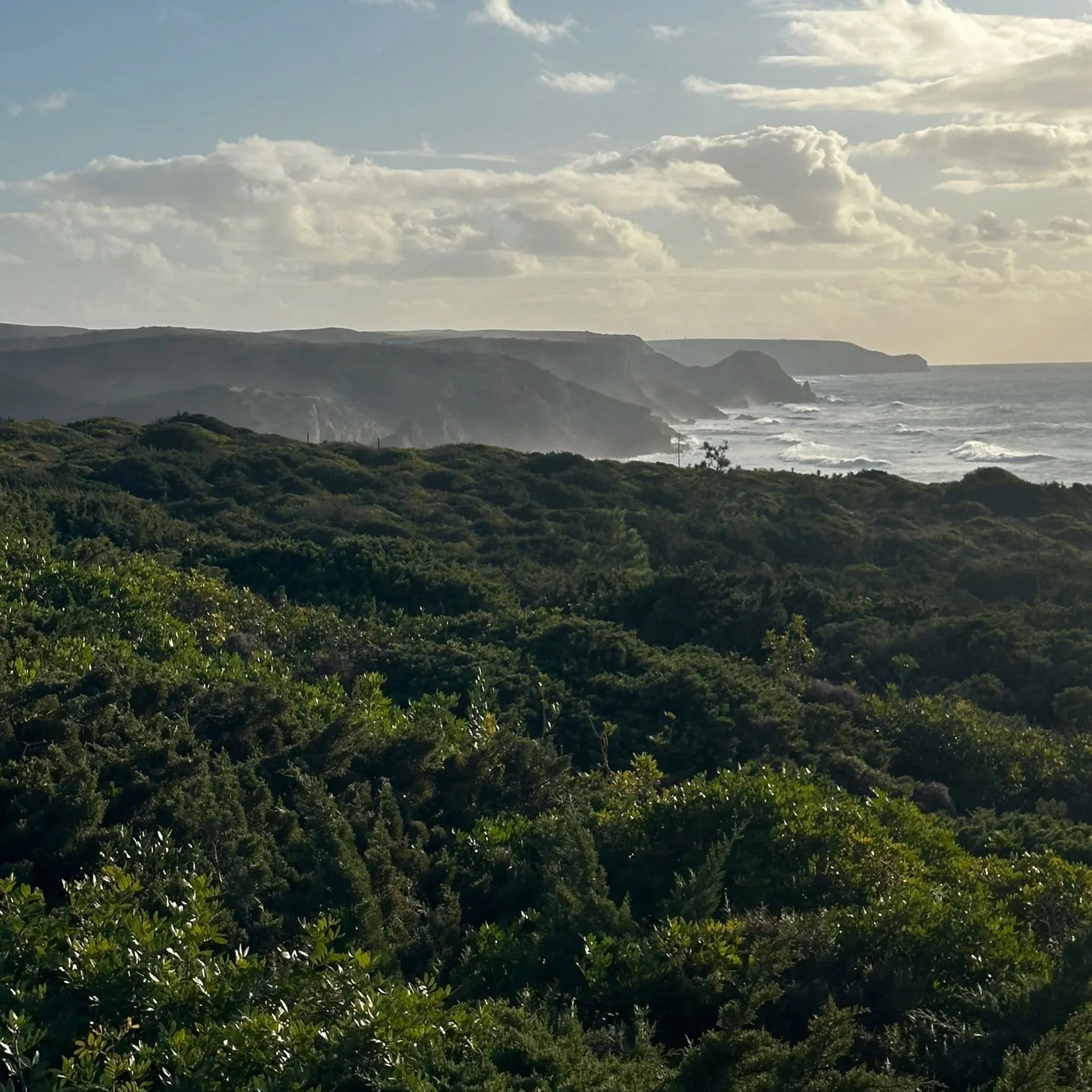 PONTAL l land regeneration