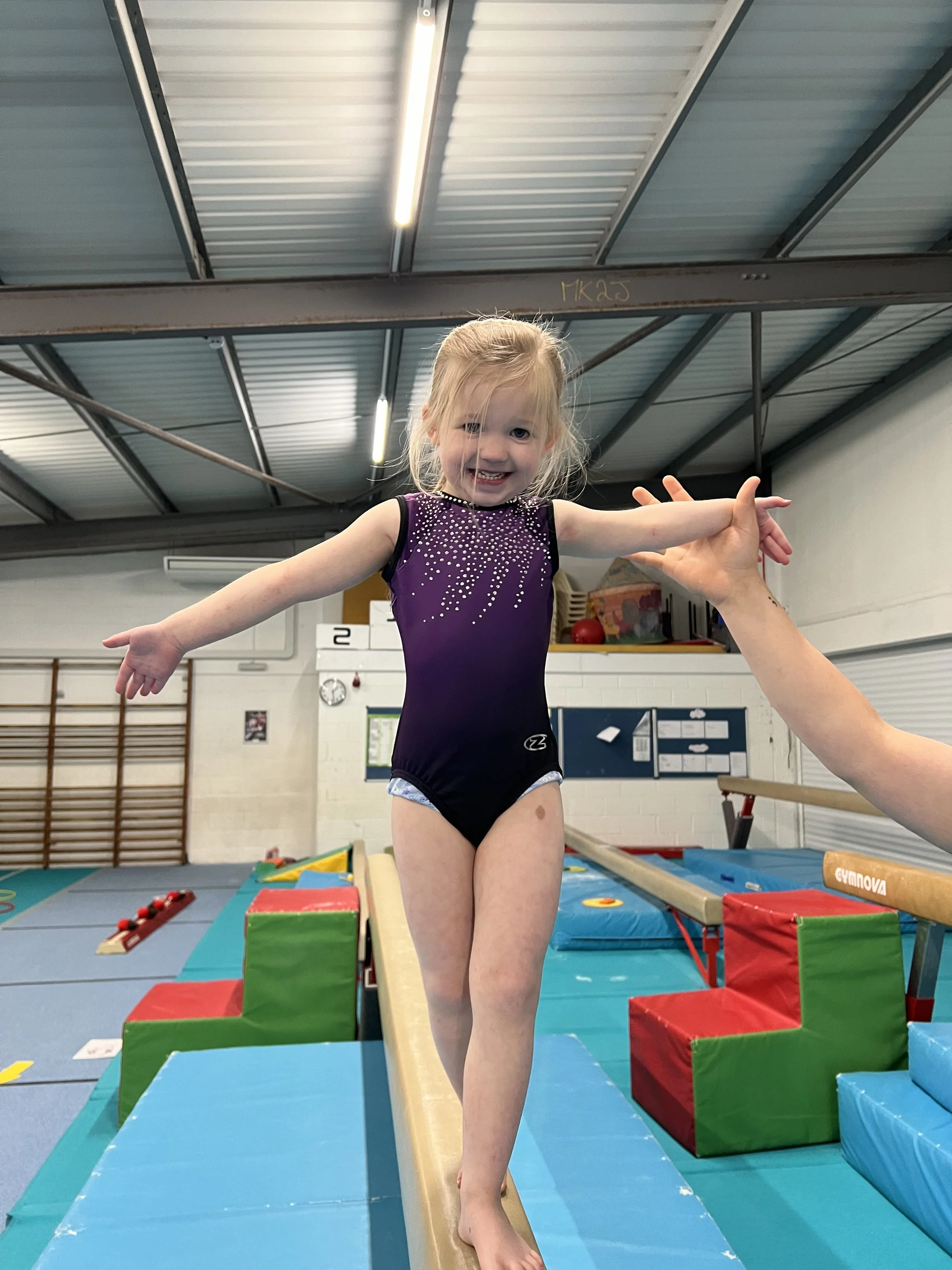 A young girl with blonde hair in a purple gymnastics leotard balancing on a balance beam in a gymnasium with gymnastics equipment around.