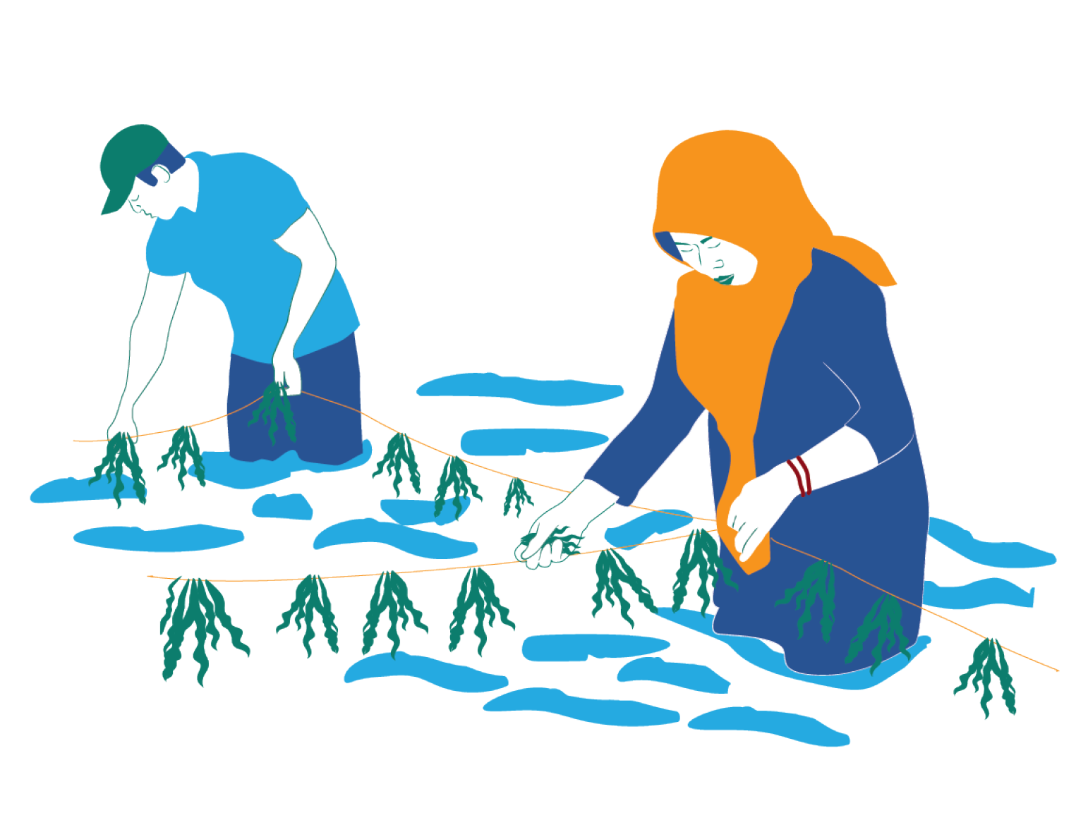 Illustration of a man and woman harvesting seaweed, with the woman wearing an orange headscarf.