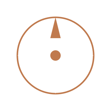 Precision Leadship compass icon
