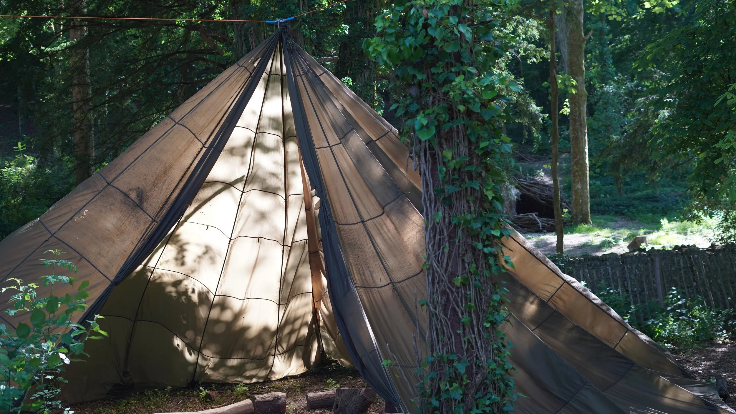A beige canvas tent in a wooded forest, surrounded by trees and green foliage, with sunlight filtering through the leaves.