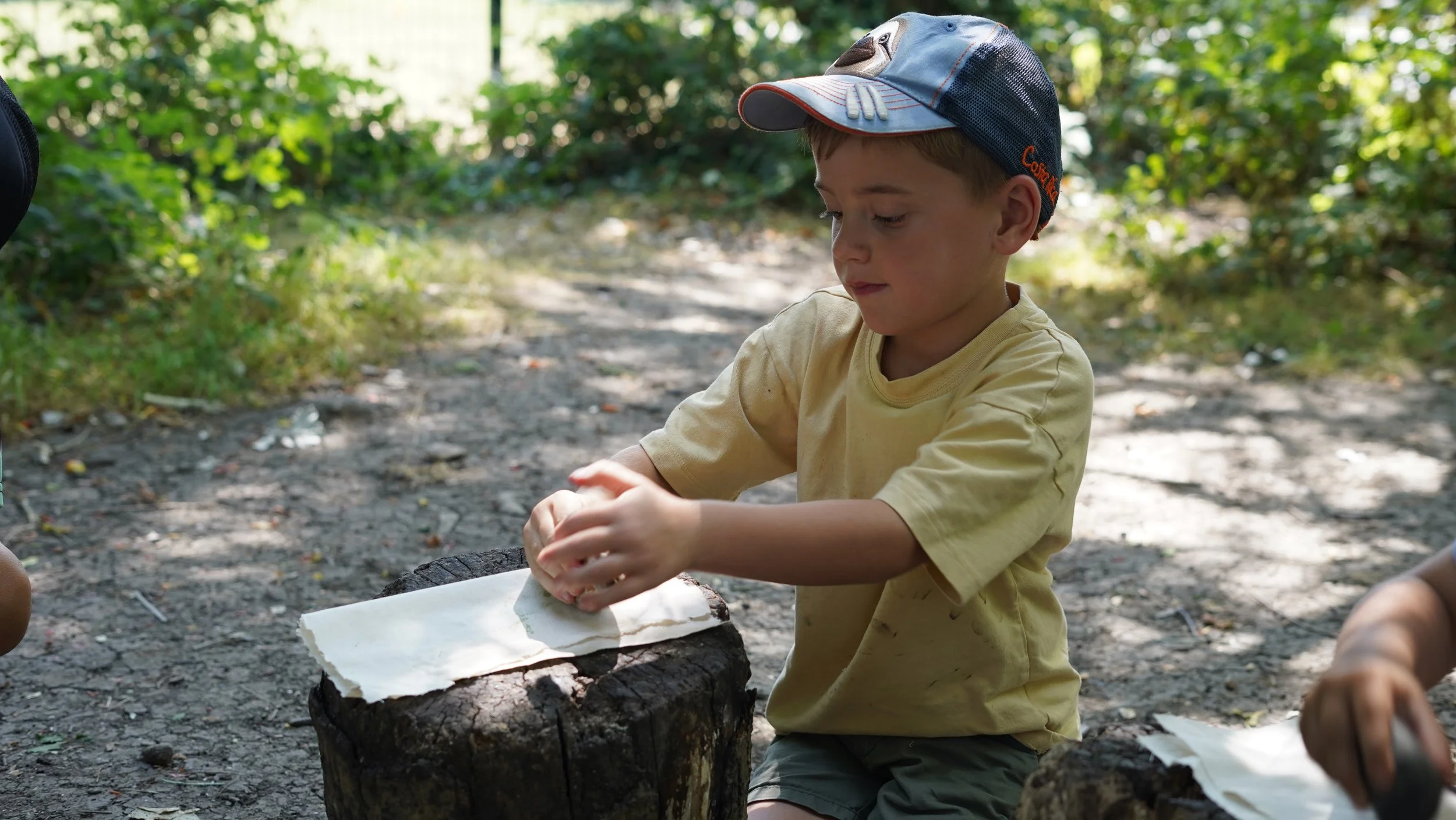 A young boy wearing a baseball cap and yellow shirt sitting outdoors on a tree stump, peeling bark from a piece of wood over a white paper on the stump, surrounded by green foliage.