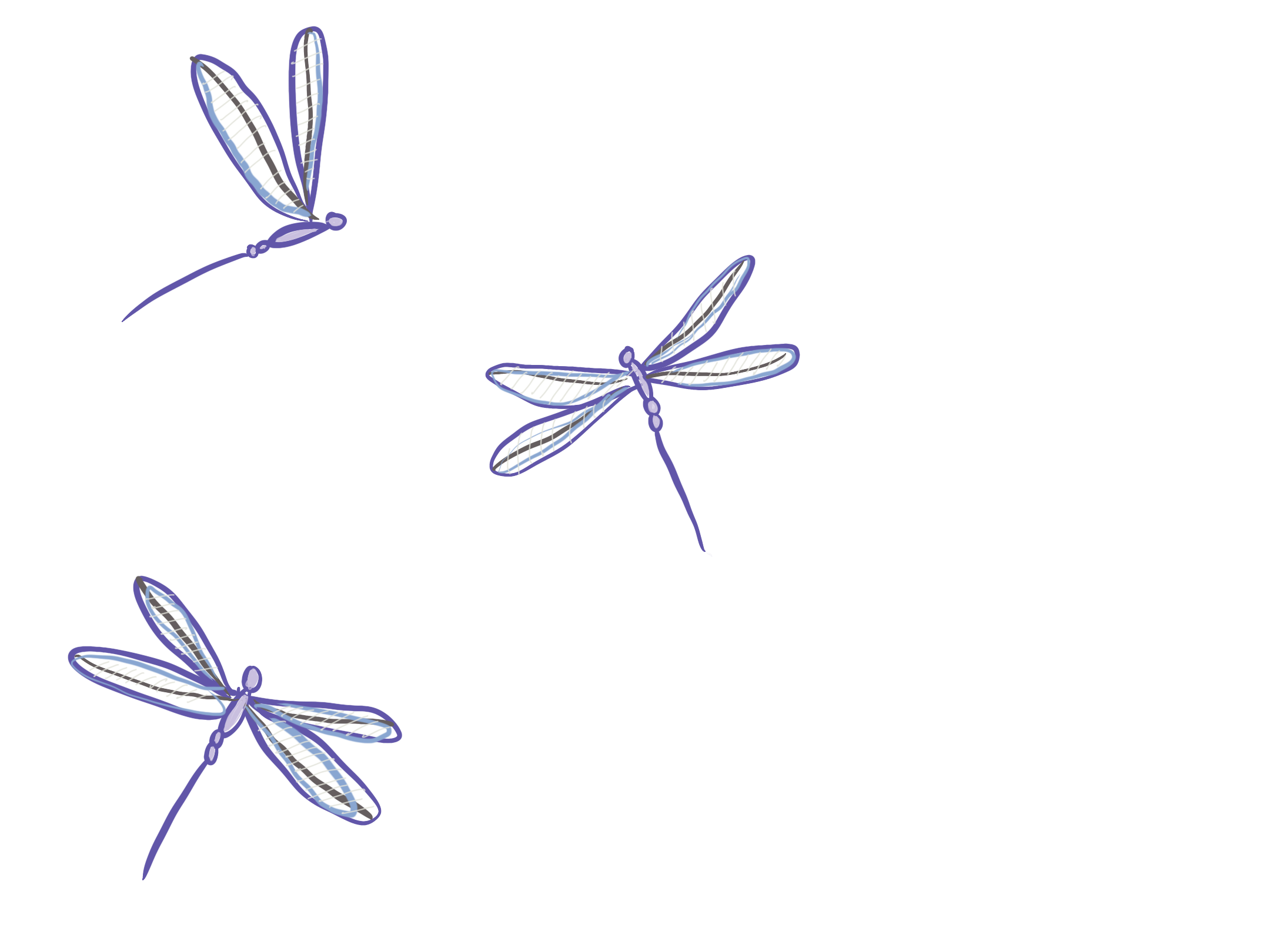 A digital illustration of several dragonflies resting on various colored horizontal bars.