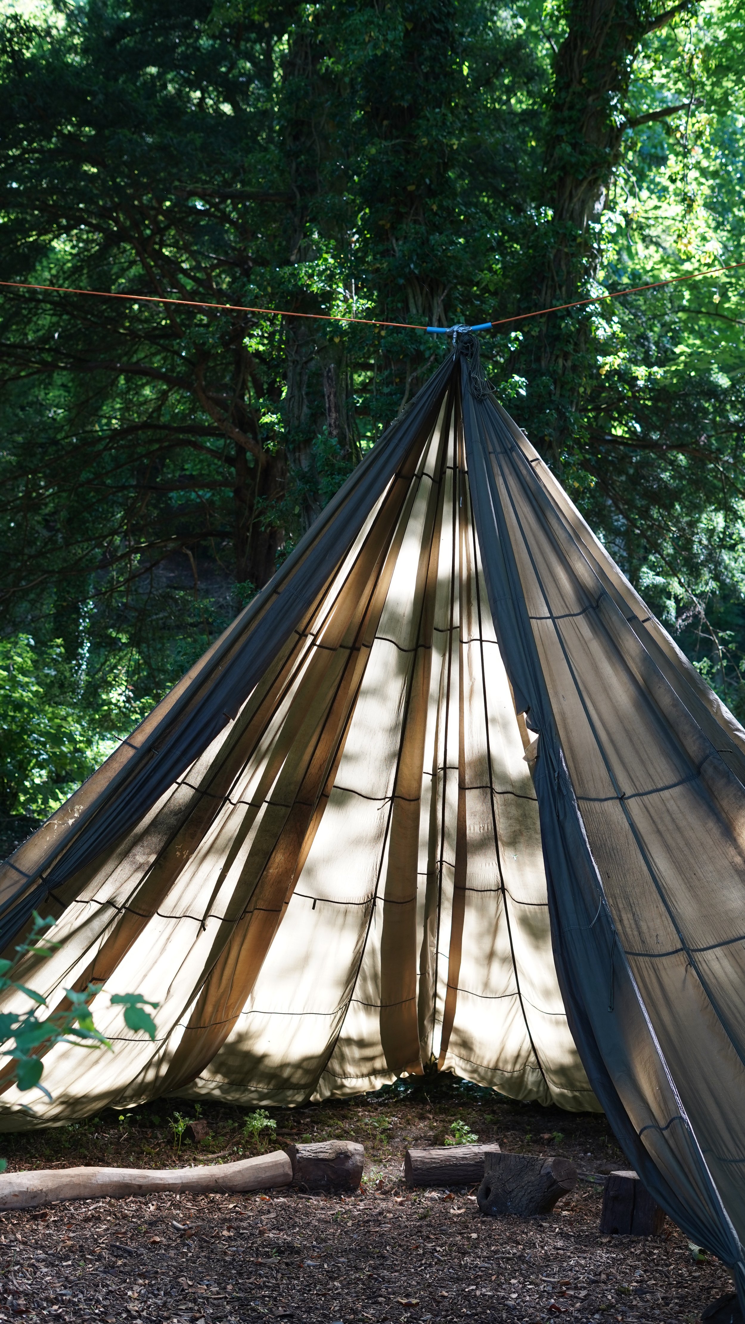 A tipi in a forest with tall trees, sunlight filtering through the leaves, and logs on the ground.