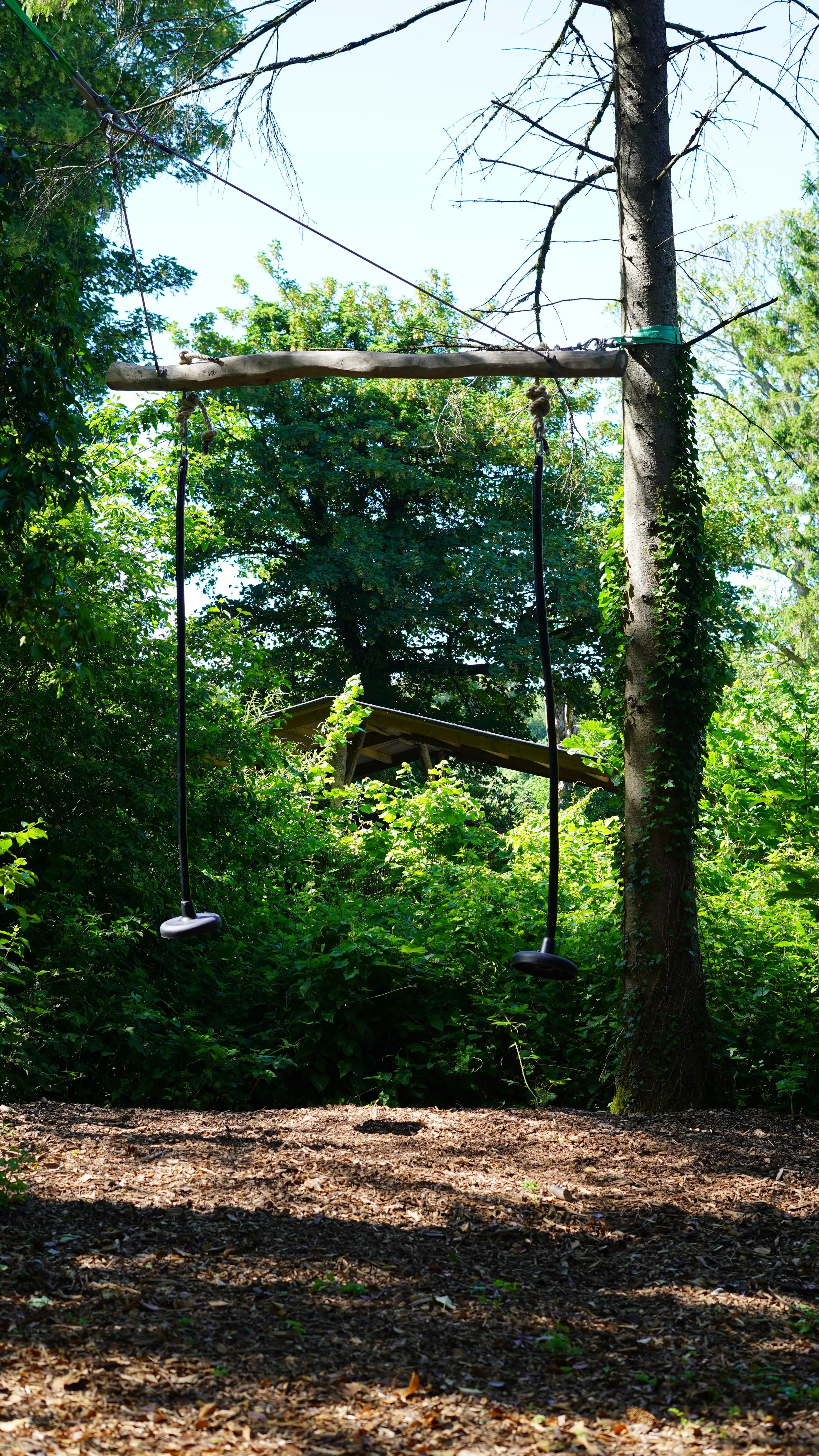 A wooden swing hangs from a tree in a forested area with dense green foliage and sunlight filtering through the leaves.