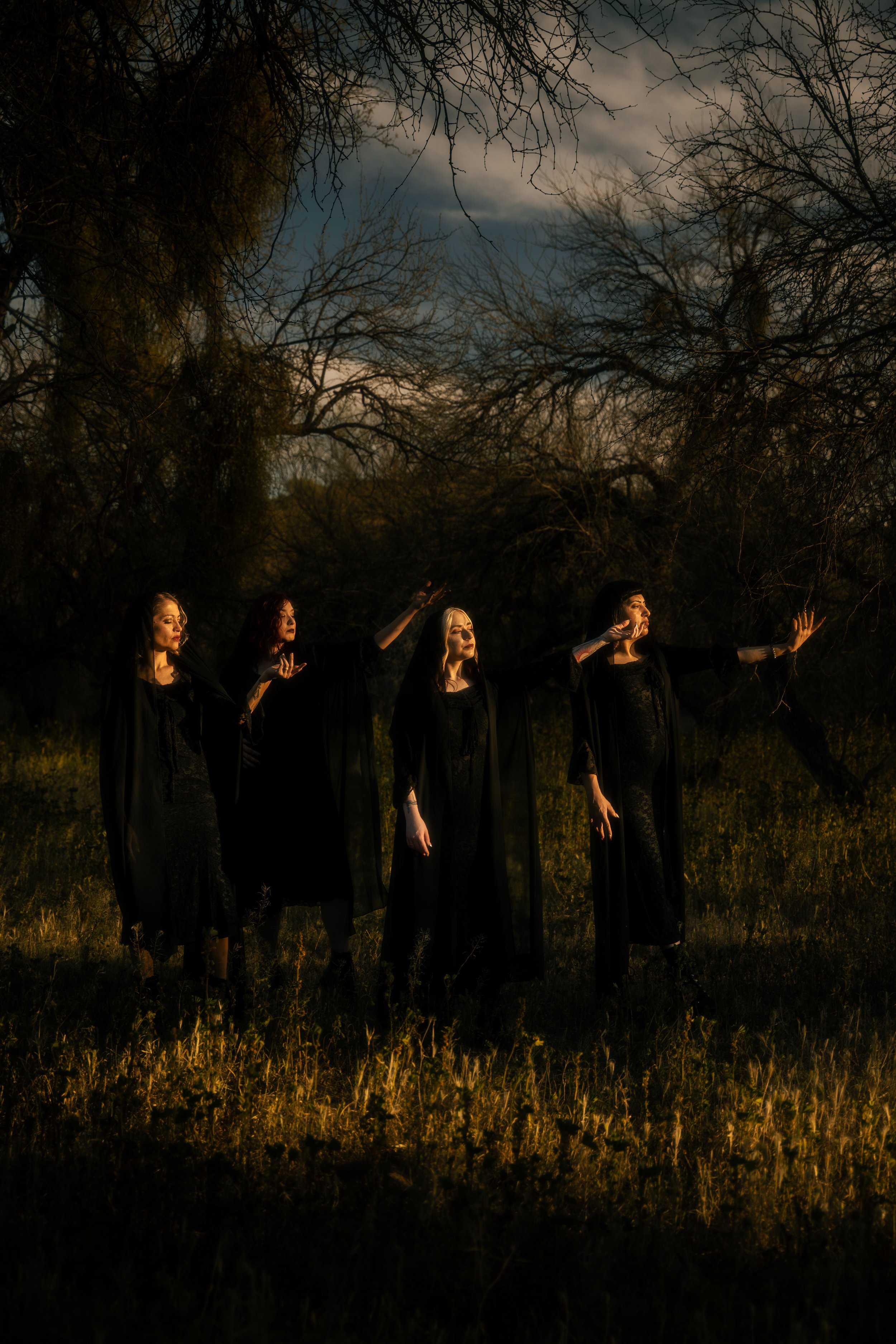 Five women dressed in black dresses and cloaks standing in a line in a wooded area during twilight, with leafless trees and a dark cloudy sky overhead.