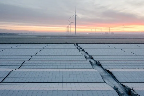 A large solar panel array with wind turbines in the background during sunset.