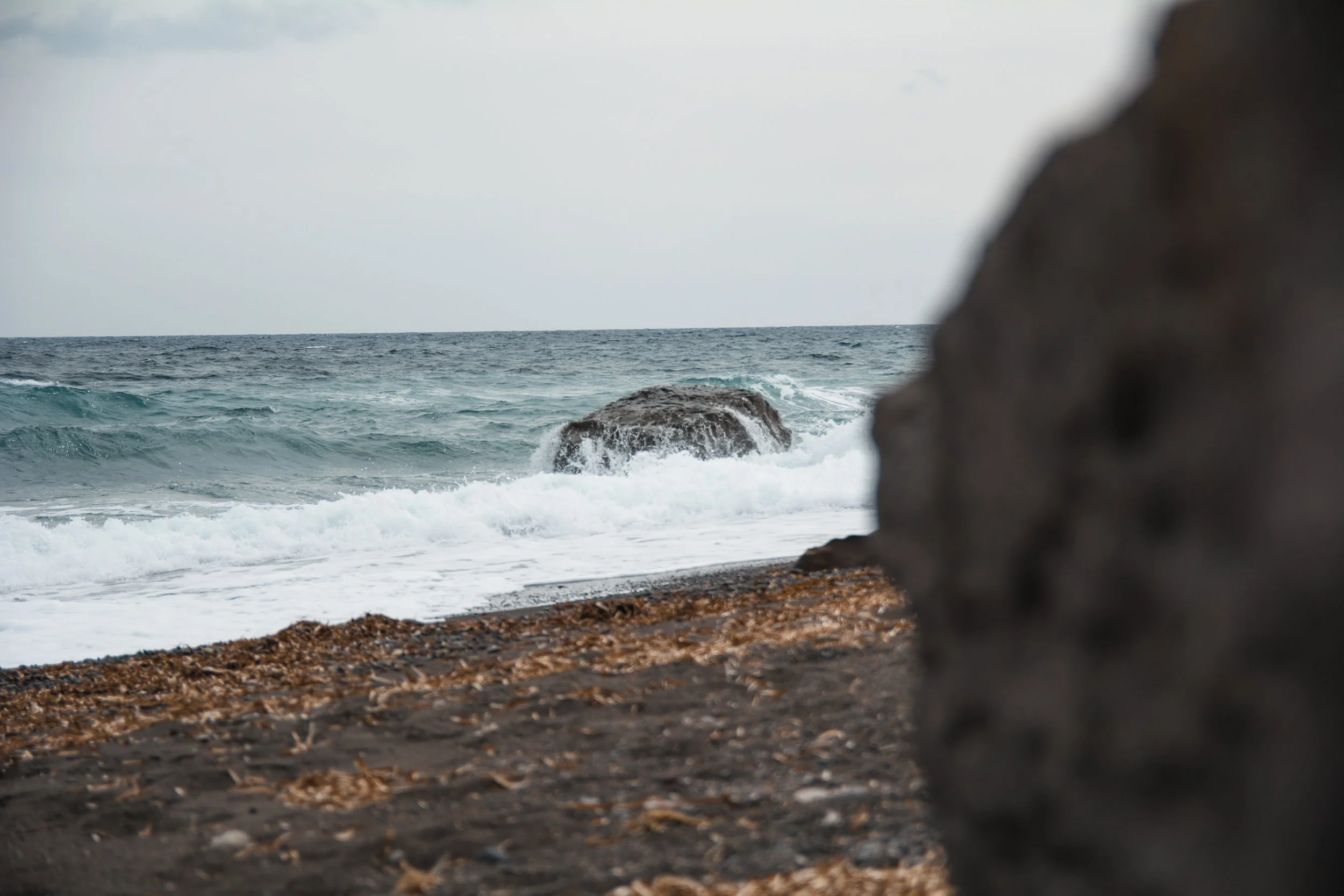 DSC_0865.JPG