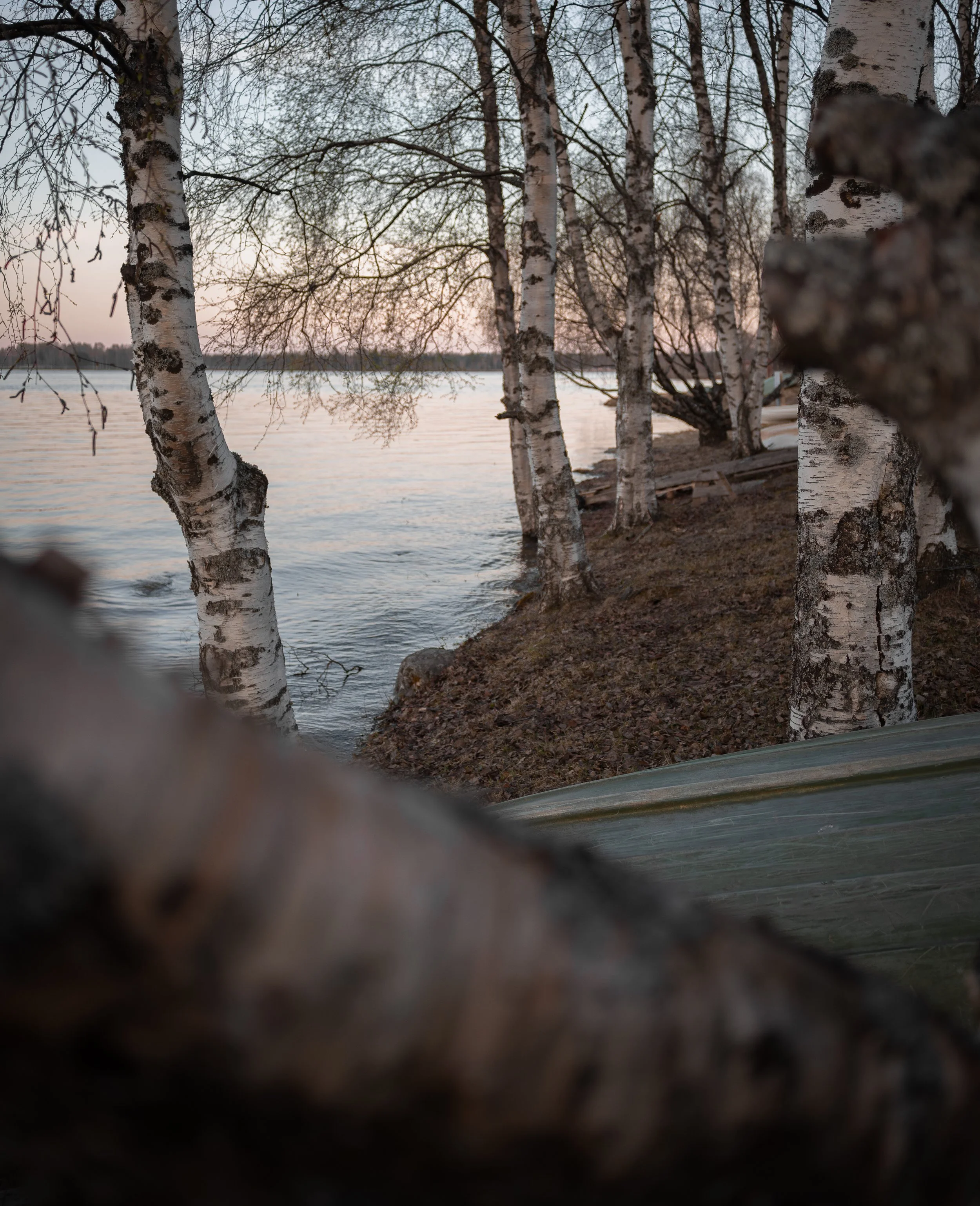 DSC_0485-2.jpg