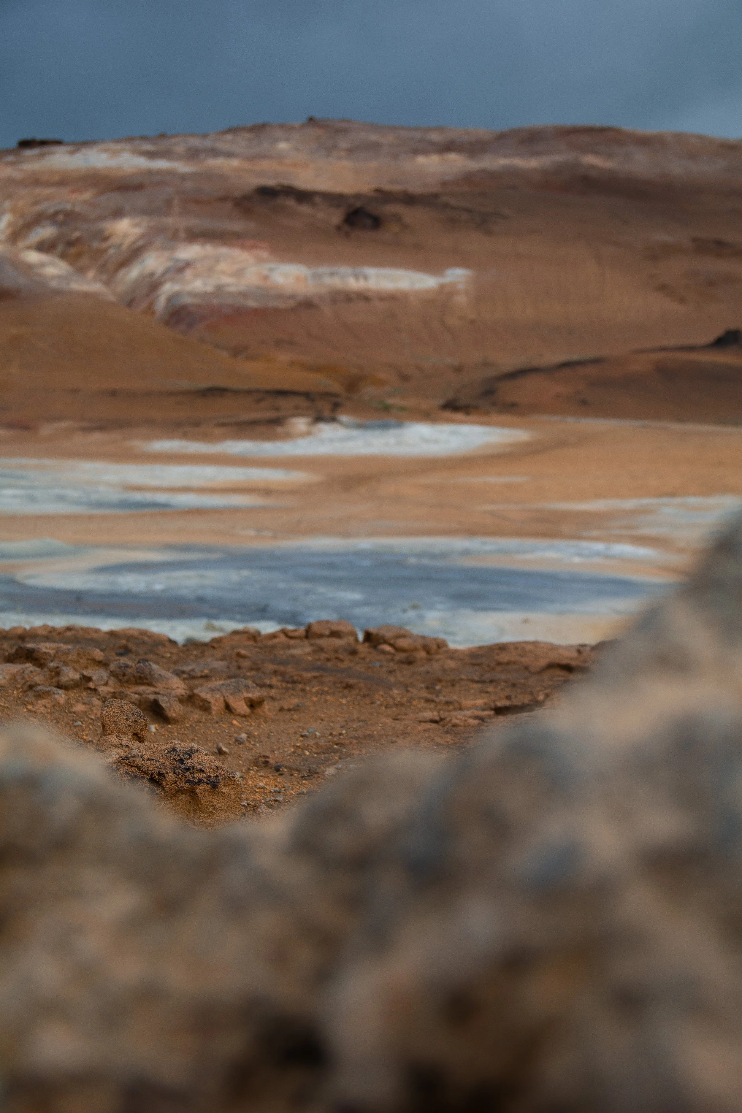DSC_0998.JPG