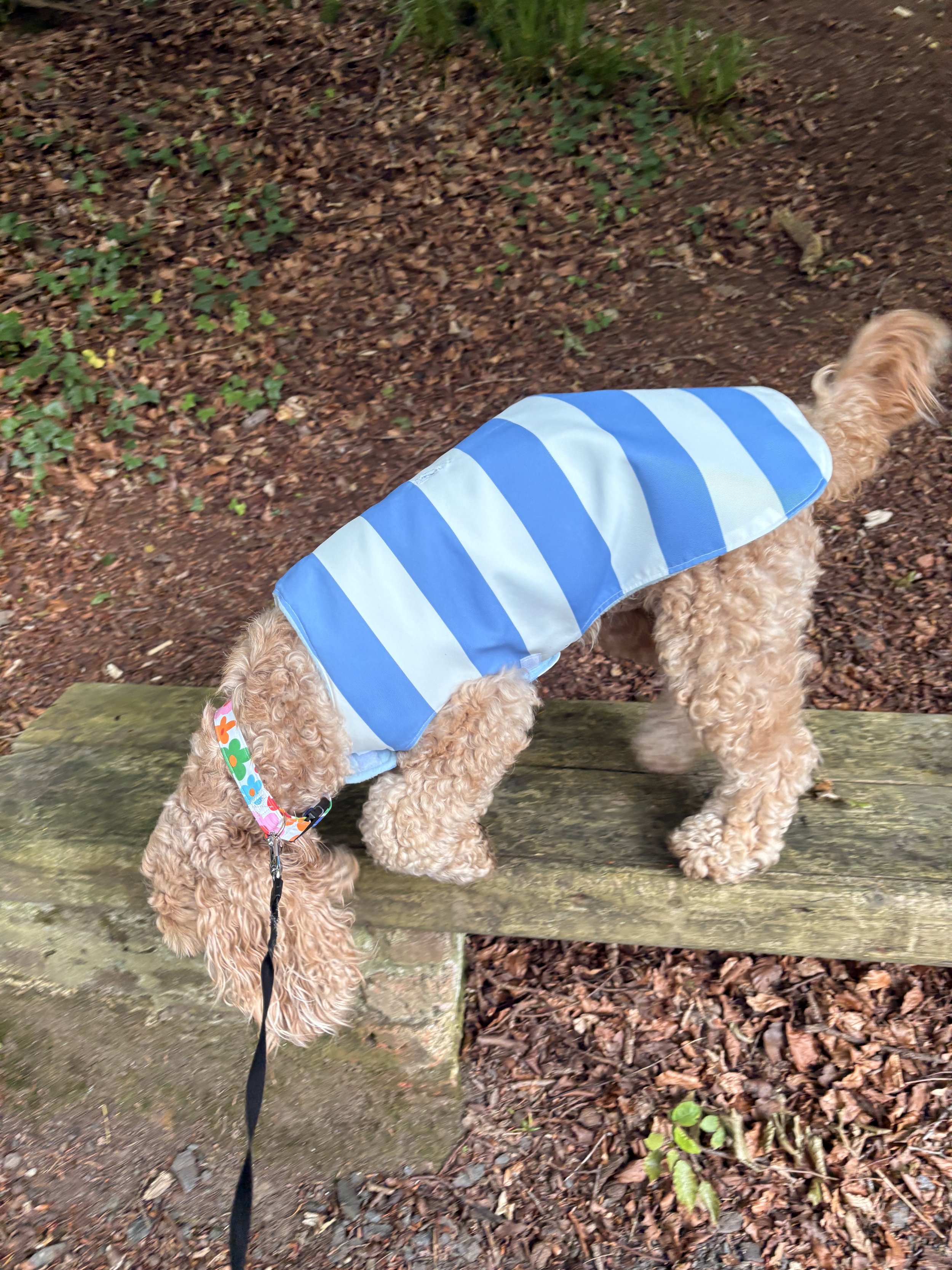 Waterproof Velcro Jacket
