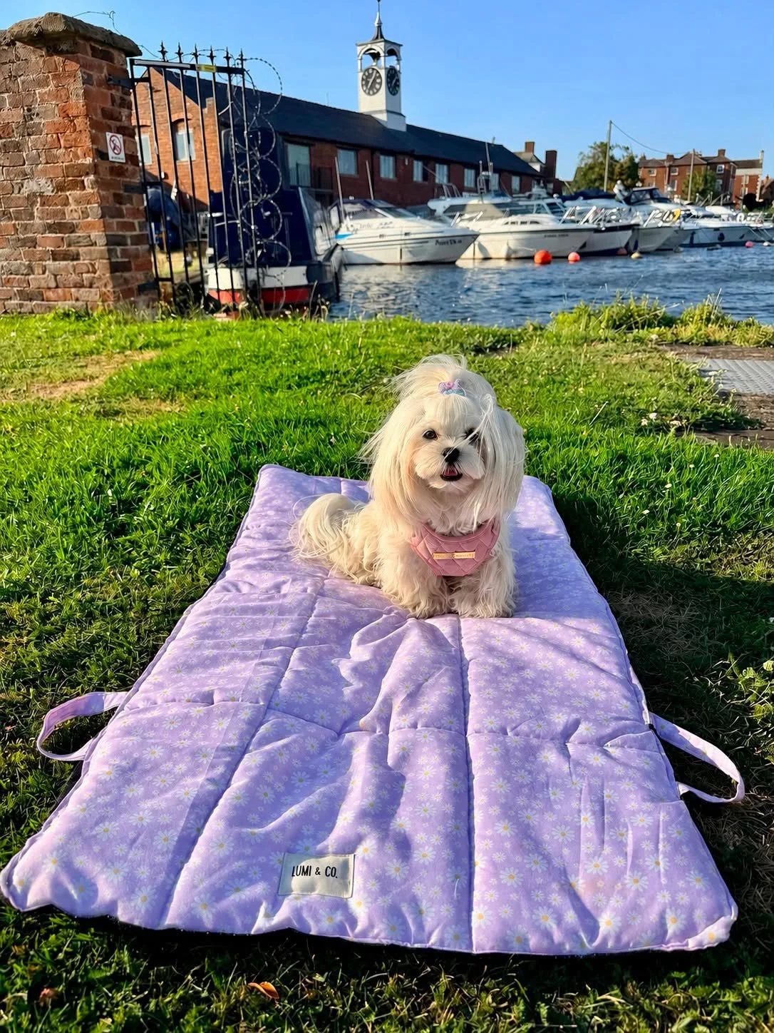 The Lumi & Co Snuggle & Go Travel Mat