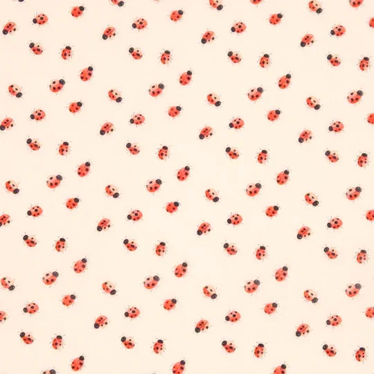 Multiple small ladybug illustrations on a white background.