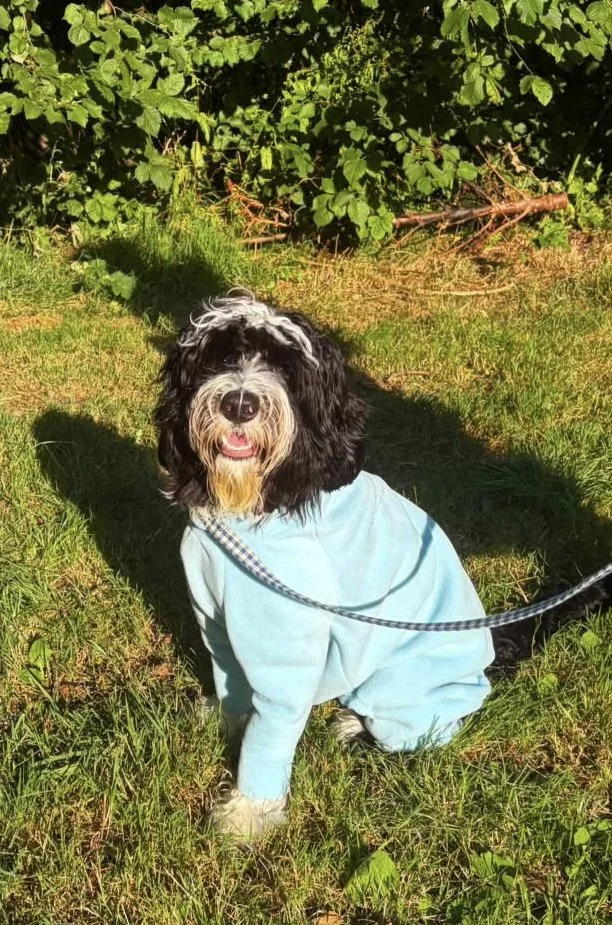 Massimo Onesie