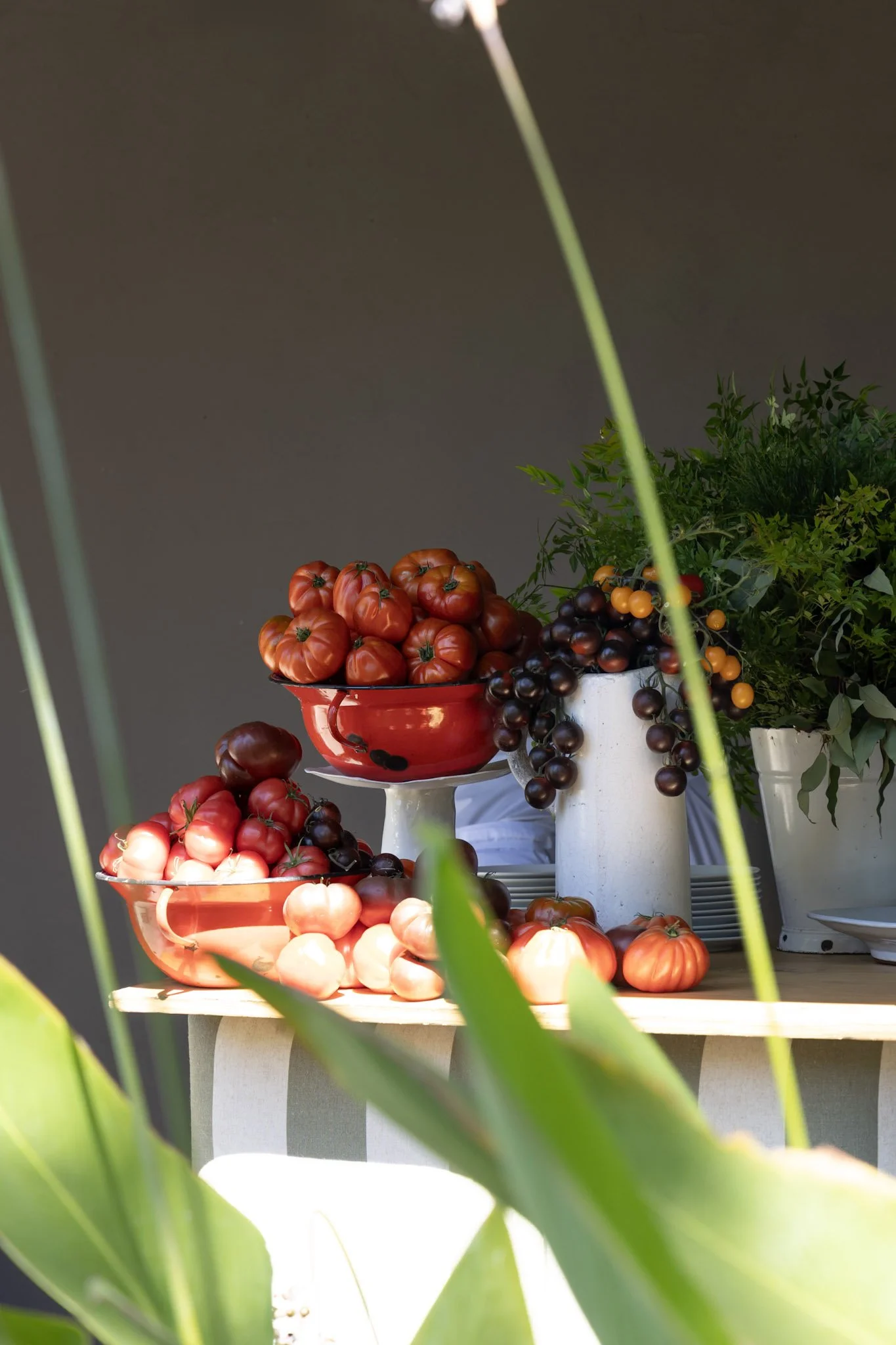 Display of heirloom tomatoes and grape tomatoes arranged in orange and white bowls on tiered stands with green foliage in the background.