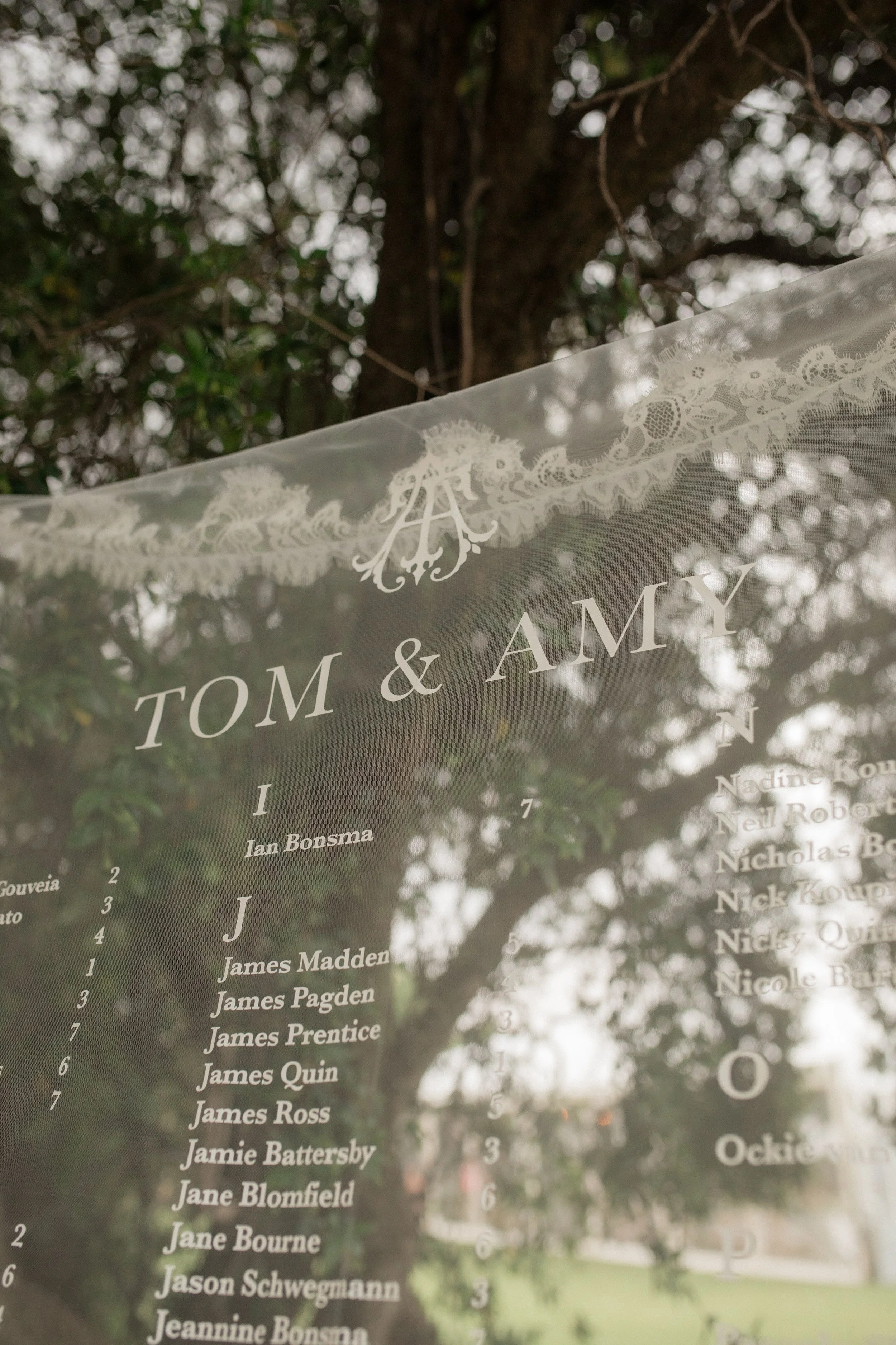 A transparent outdoor wedding seating chart with lace trim, listing names of guests and table numbers, hanging in front of a tree with green leaves and branches.