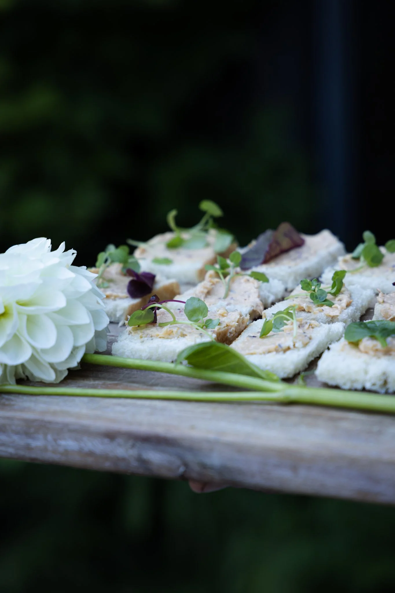 Close-up of crackers topped with cheese and microgreens on a wooden surface, with white flowers and a dark, blurred background.