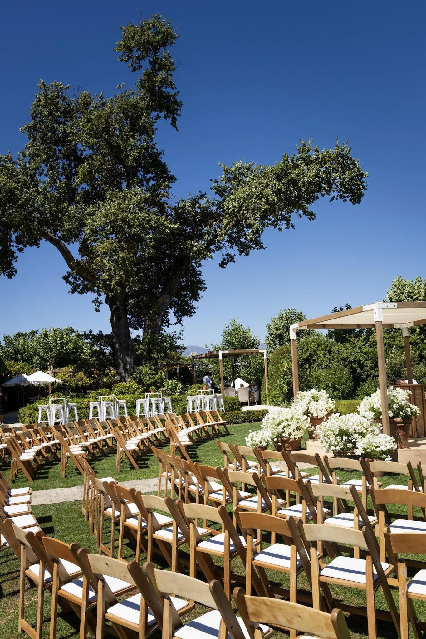 Outdoor wedding setup with rows of wooden chairs, white flowers, a large tree, and a wooden pergola with clear blue sky.