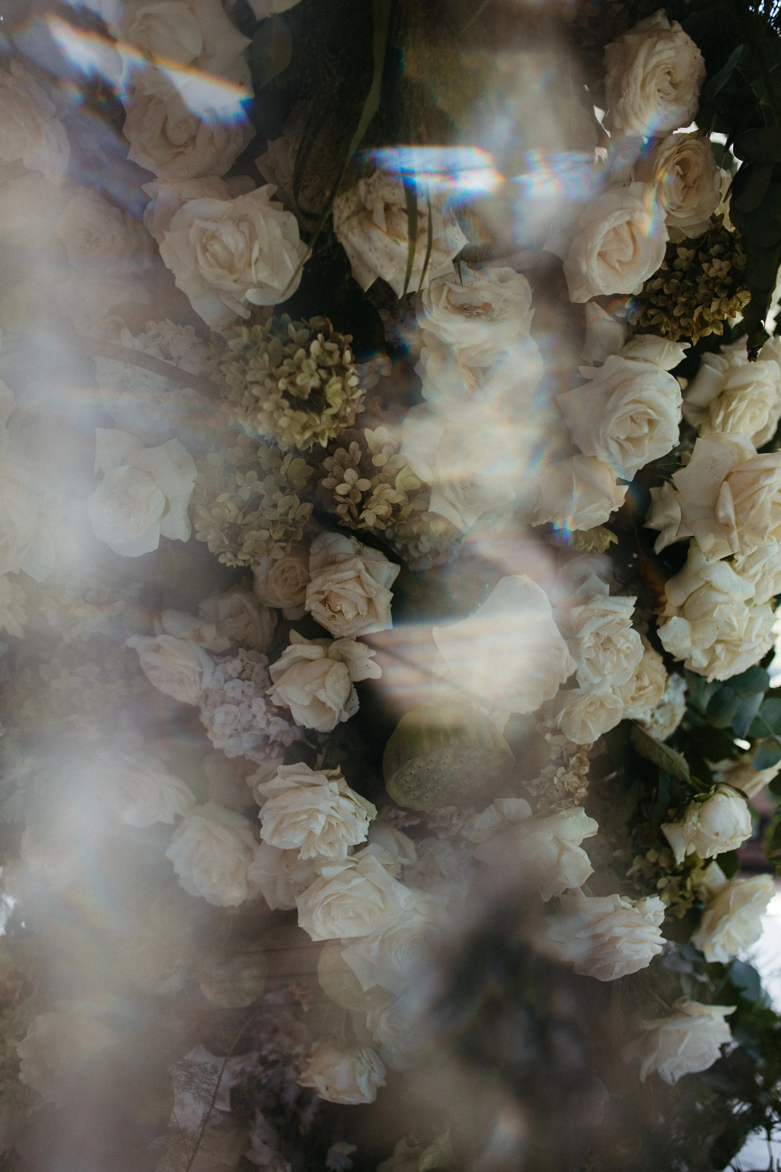 A close-up of white roses and small white flowers with rainbow light reflections.