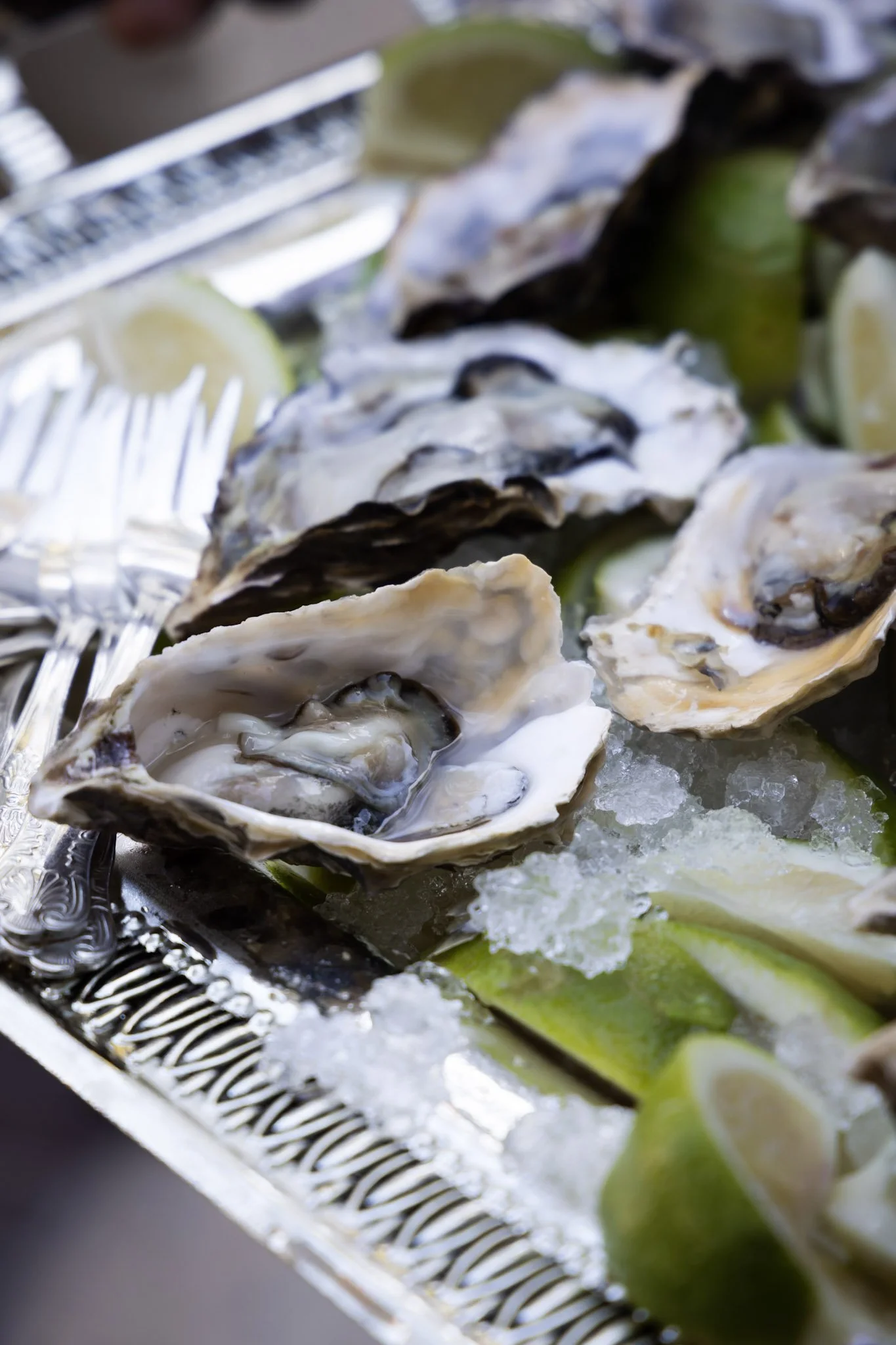 Fresh oysters on a tray with lemon slices and ice.