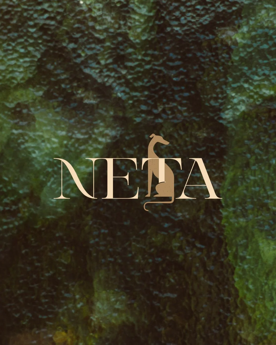 Close-up of a moss-covered surface with a beige logo of an italian greyhound with the word 'NETA' underneath.
