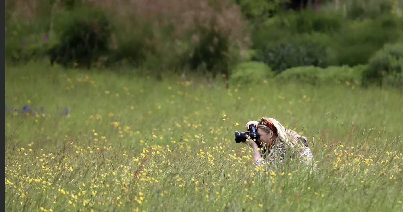 Dawn Latcham Photography