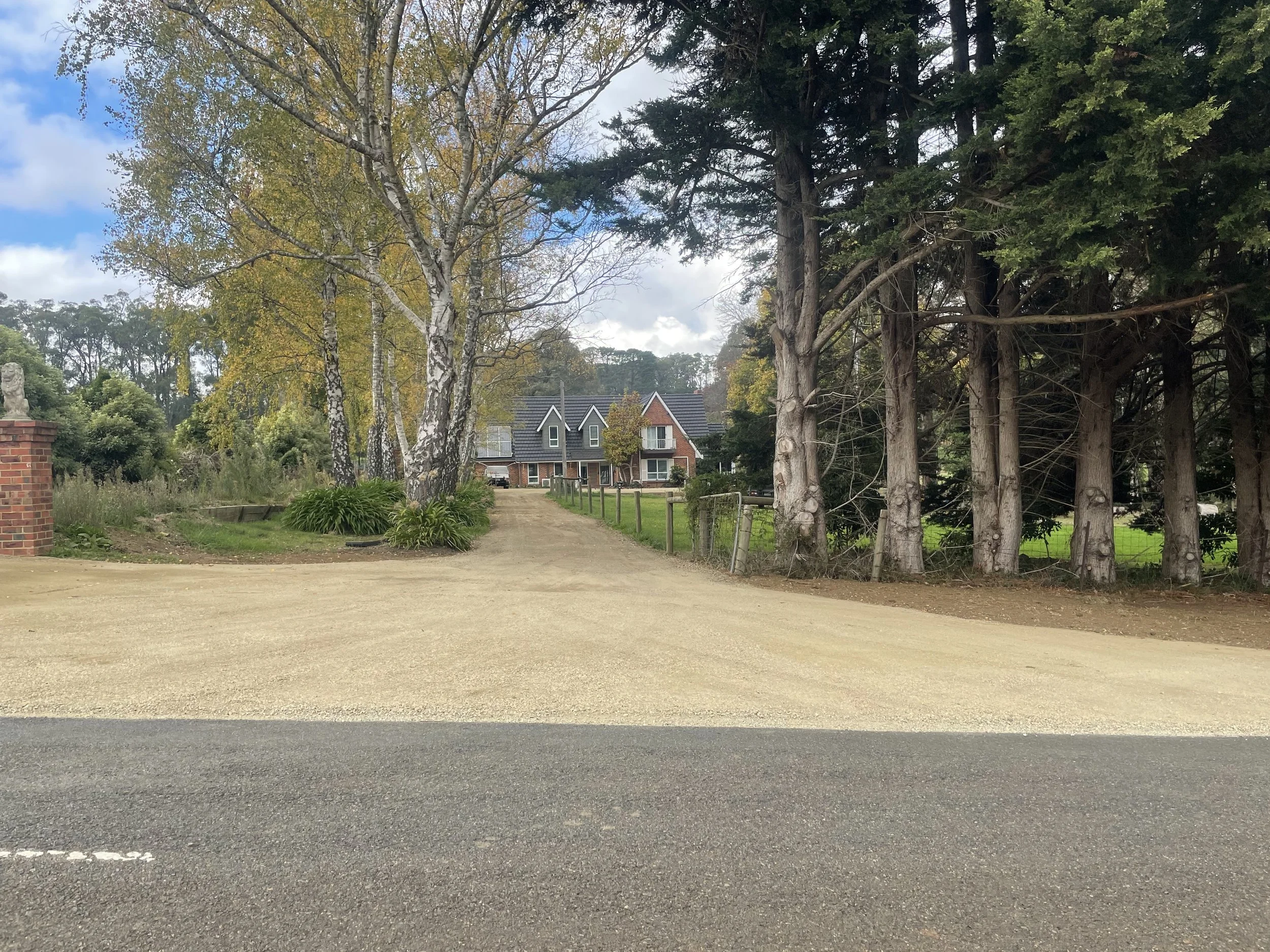 The image shows a dirt and gravel parking lot with a black top layer in the foreground. In the background, there are trees, including leafless birch trees with white bark and evergreen trees. A row of houses with brick and grey rooftops can be seen b