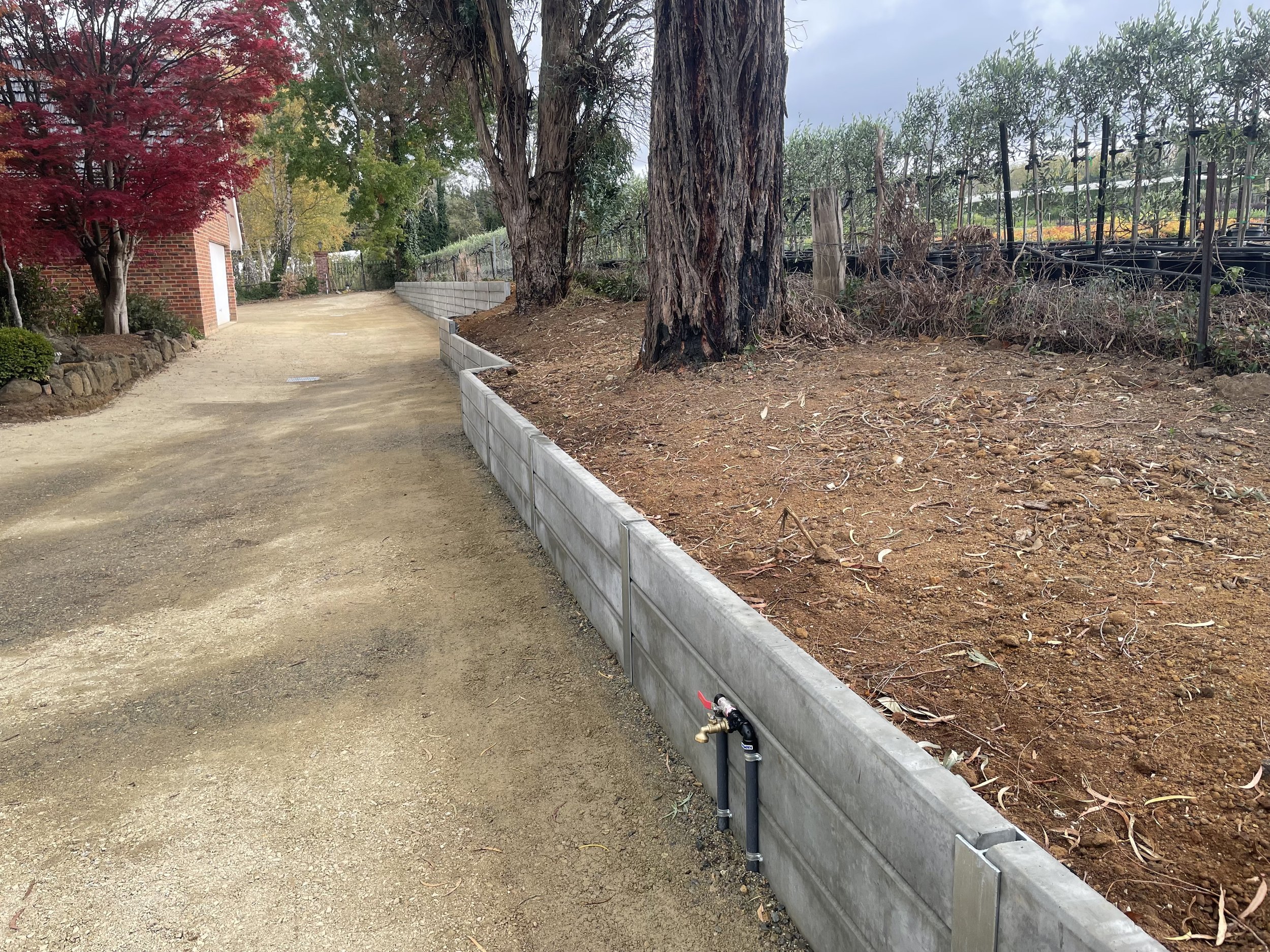A dirt pathway bordered by a wall of rocks on the left and a metal retaining wall on the right, with trees and shrubs along and a red-leafed tree on the left side.