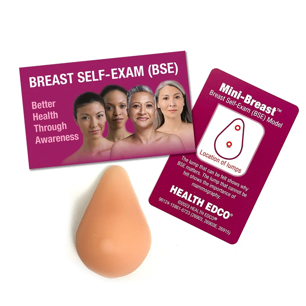 Mini Breast Model